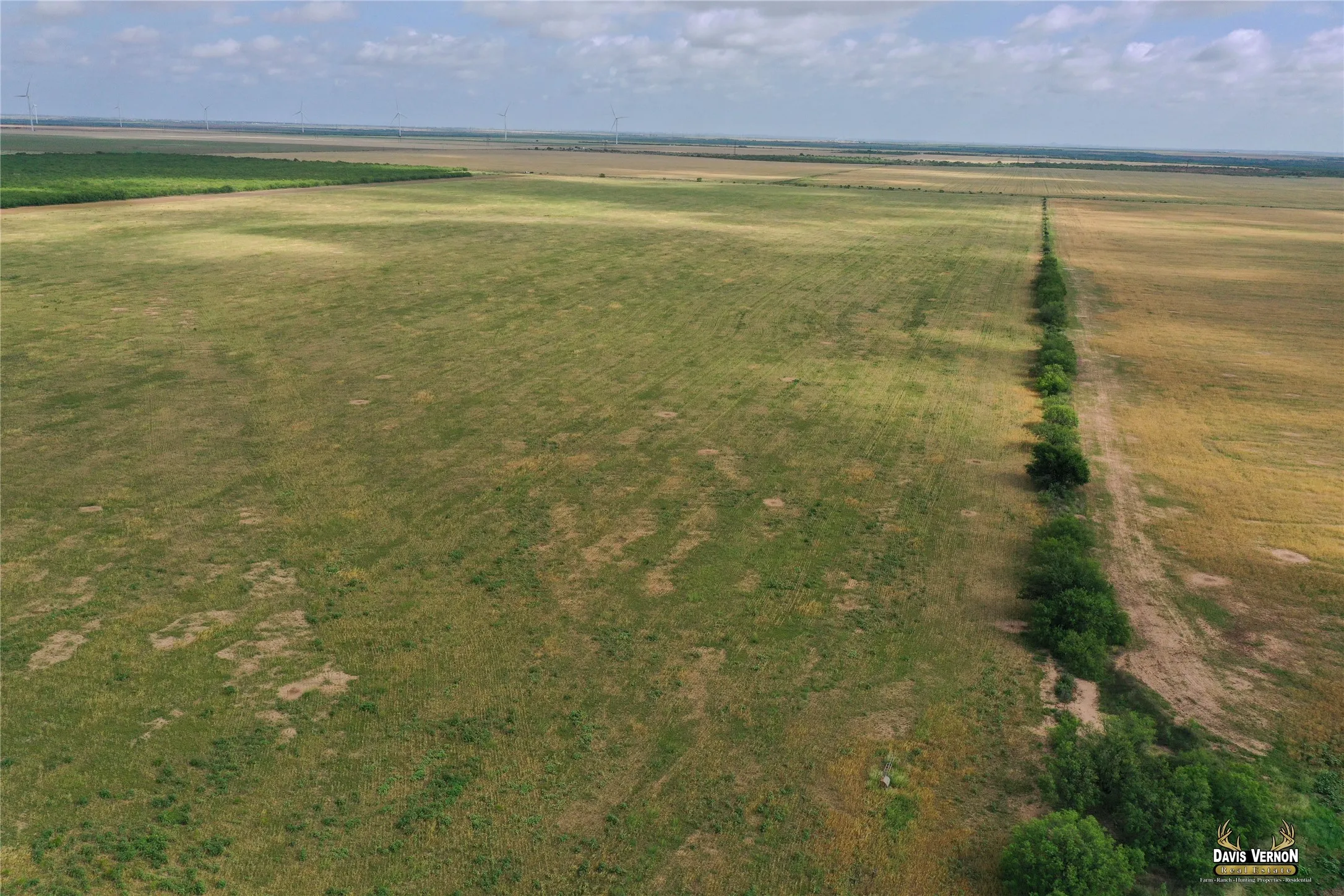 Ranch For Sale in Foard County , 0 Fm 2877, Crowell, Texas 79227, 0, 0, Garage spaces, 0 Sqft, built in 0, mls#21369236, Real Estate Agent in Crowell, Homes For Sale in Foard county, Homes For Sale in Crowell, Realtor in Crowell Texas, Real Estate Brokerage Independent Realty Texas, Luminita Cordes Realtor