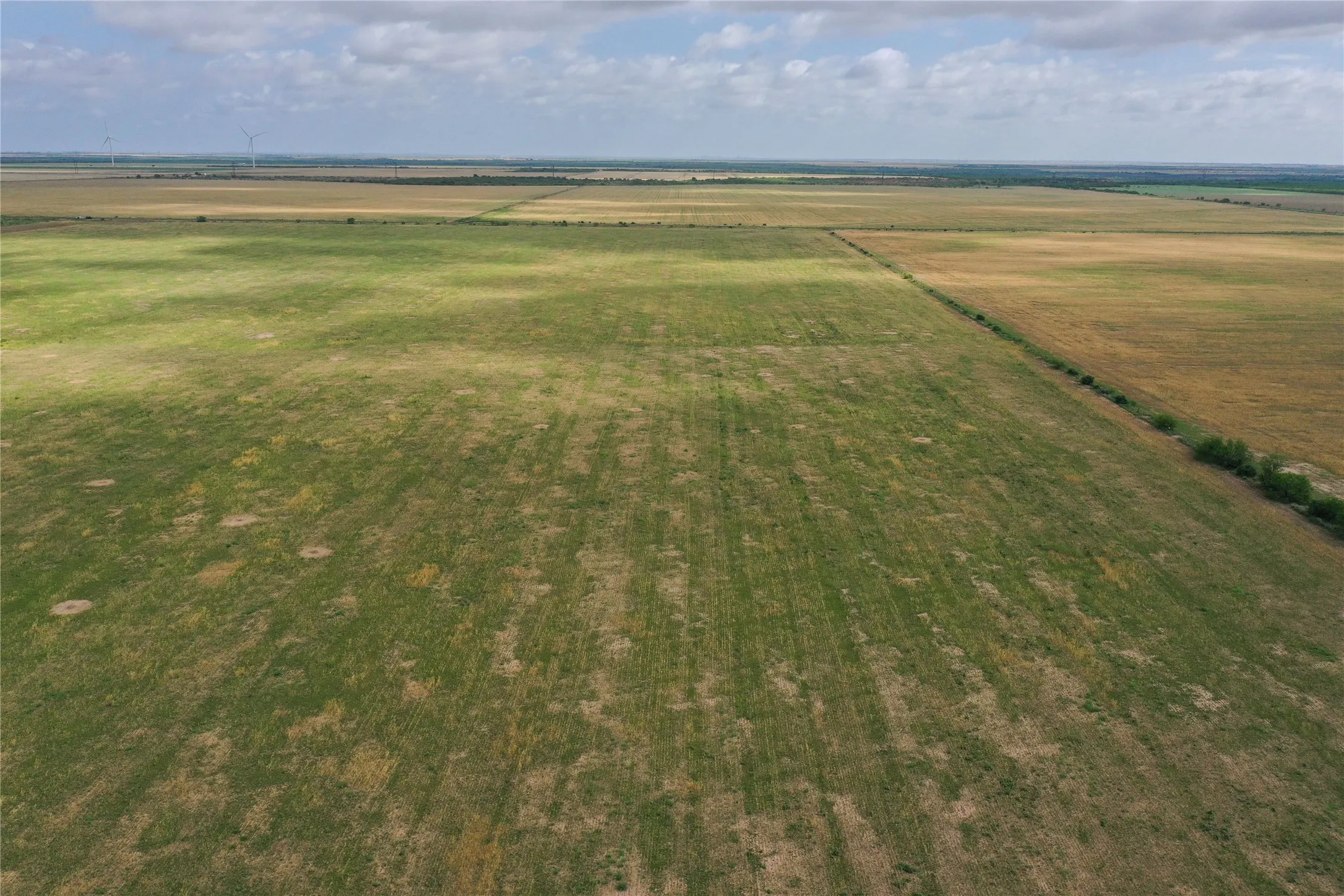 Ranch For Sale in Foard County , 0 Fm 2877, Crowell, Texas 79227, 0, 0, Garage spaces, 0 Sqft, built in 0, mls#21369236, Real Estate Agent in Crowell, Homes For Sale in Foard county, Homes For Sale in Crowell, Realtor in Crowell Texas, Real Estate Brokerage Independent Realty Texas, Luminita Cordes Realtor