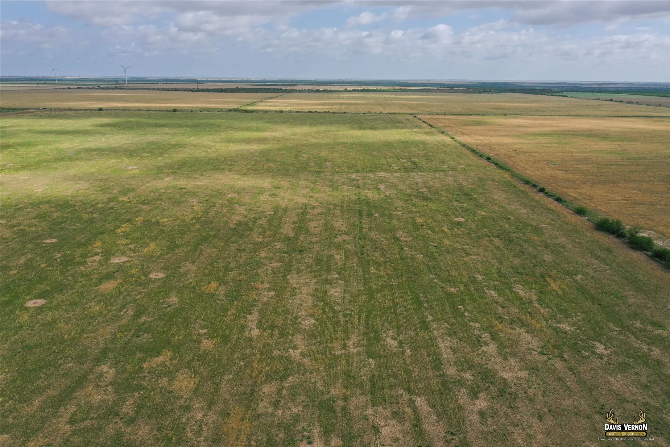 Ranch For Sale in Foard County , 0 Fm 2877, Crowell, Texas 79227, 0, 0, Garage spaces, 0 Sqft, built in 0, mls#21369236, Real Estate Agent in Crowell, Homes For Sale in Foard county, Homes For Sale in Crowell, Realtor in Crowell Texas, Real Estate Brokerage Independent Realty Texas, Luminita Cordes Realtor