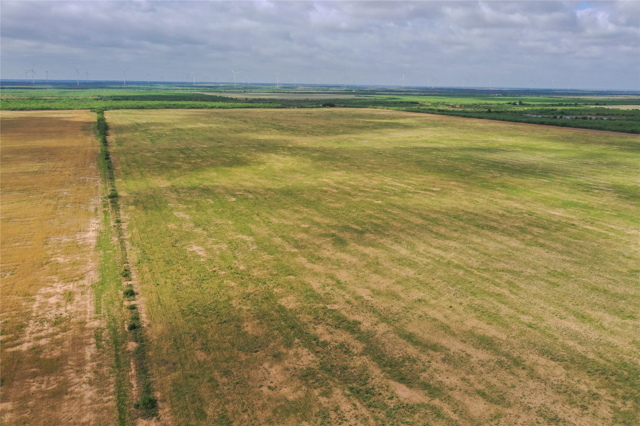 Ranch For Sale in Foard County , 0 Fm 2877, Crowell, Texas 79227, 0, 0, Garage spaces, 0 Sqft, built in 0, mls#21369236, Real Estate Agent in Crowell, Homes For Sale in Foard county, Homes For Sale in Crowell, Realtor in Crowell Texas, Real Estate Brokerage Independent Realty Texas, Luminita Cordes Realtor