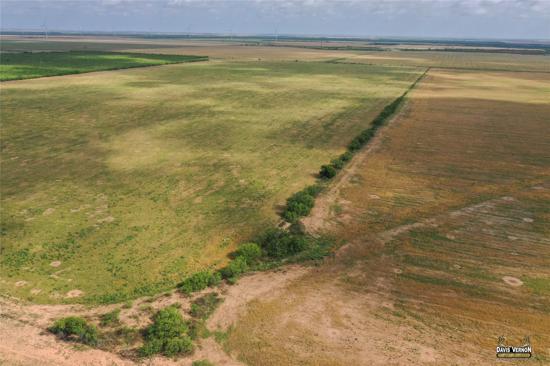 Ranch For Sale in Foard County , 0 Fm 2877, Crowell, Texas 79227, 0, 0, Garage spaces, 0 Sqft, built in 0, mls#21369236, Real Estate Agent in Crowell, Homes For Sale in Foard county, Homes For Sale in Crowell, Realtor in Crowell Texas, Real Estate Brokerage Independent Realty Texas, Luminita Cordes Realtor