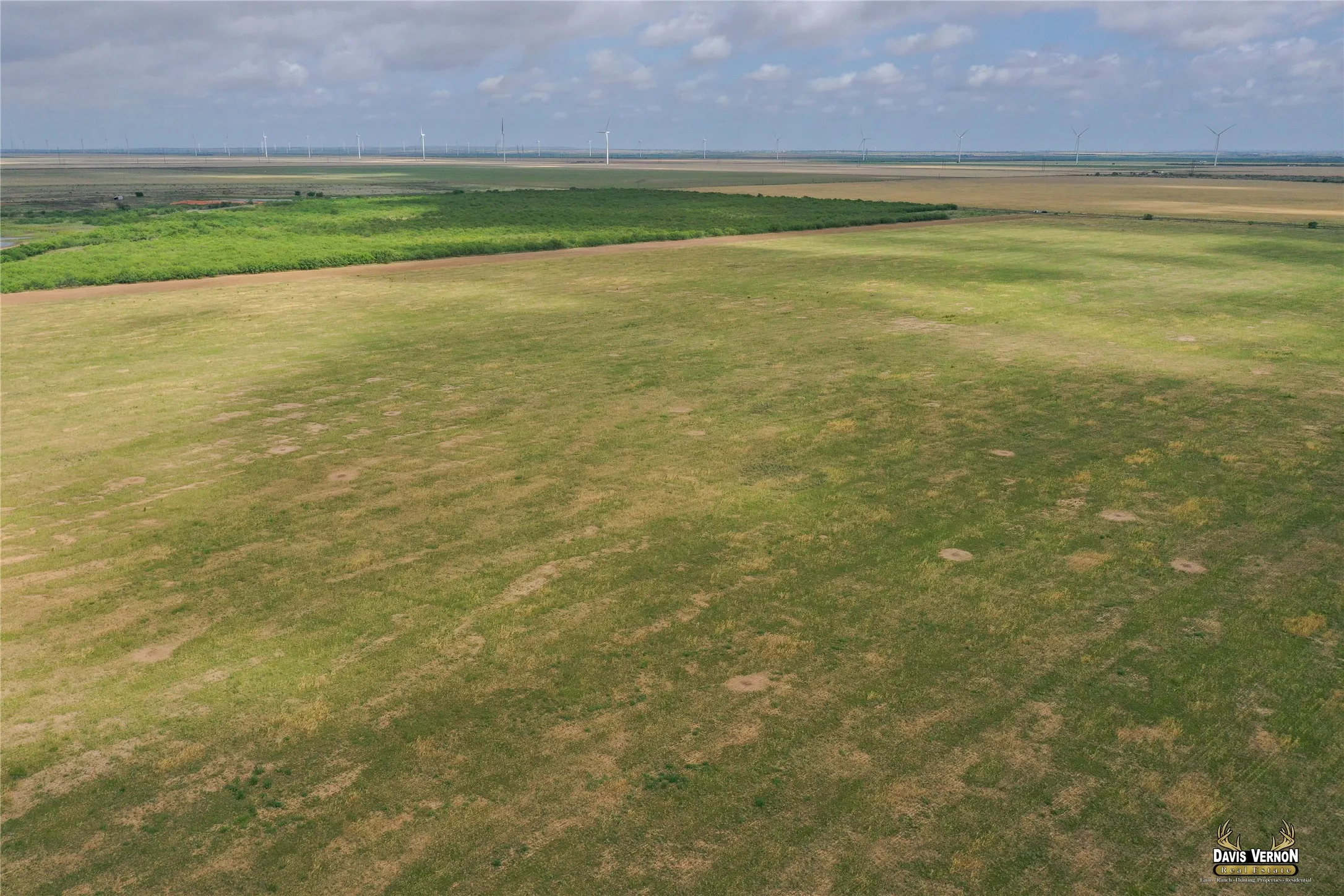Ranch For Sale in Foard County , 0 Fm 2877, Crowell, Texas 79227, 0, 0, Garage spaces, 0 Sqft, built in 0, mls#21369236, Real Estate Agent in Crowell, Homes For Sale in Foard county, Homes For Sale in Crowell, Realtor in Crowell Texas, Real Estate Brokerage Independent Realty Texas, Luminita Cordes Realtor