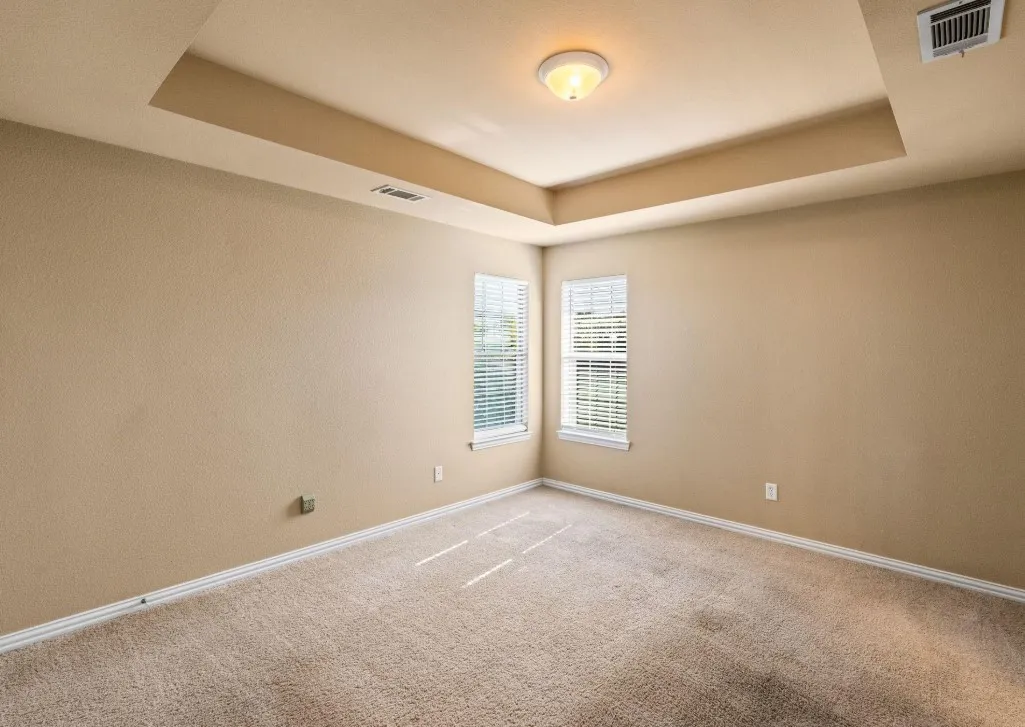 Recessed tray ceiling with central flush-mount lighting, two windows with blinds, and neutral carpeting