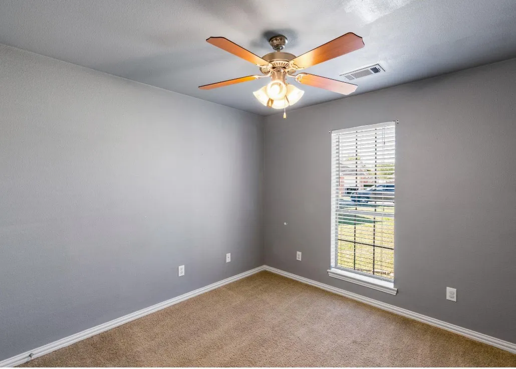 Ceiling fan with light fixture