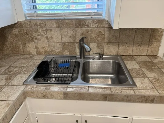 Double stainless sink