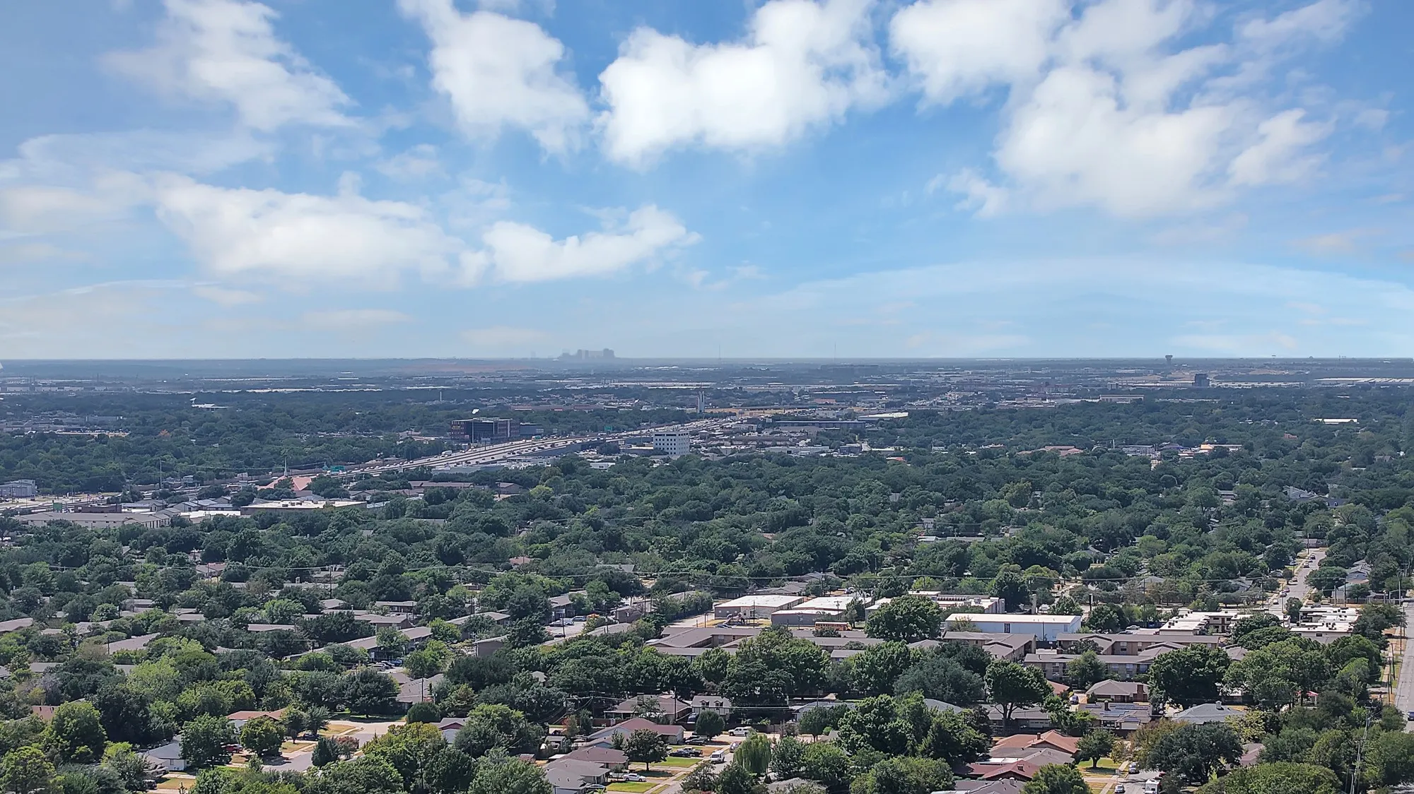 Expansive aerial perspective showcasing a mature tree canopy across the landscape and distant urban structures