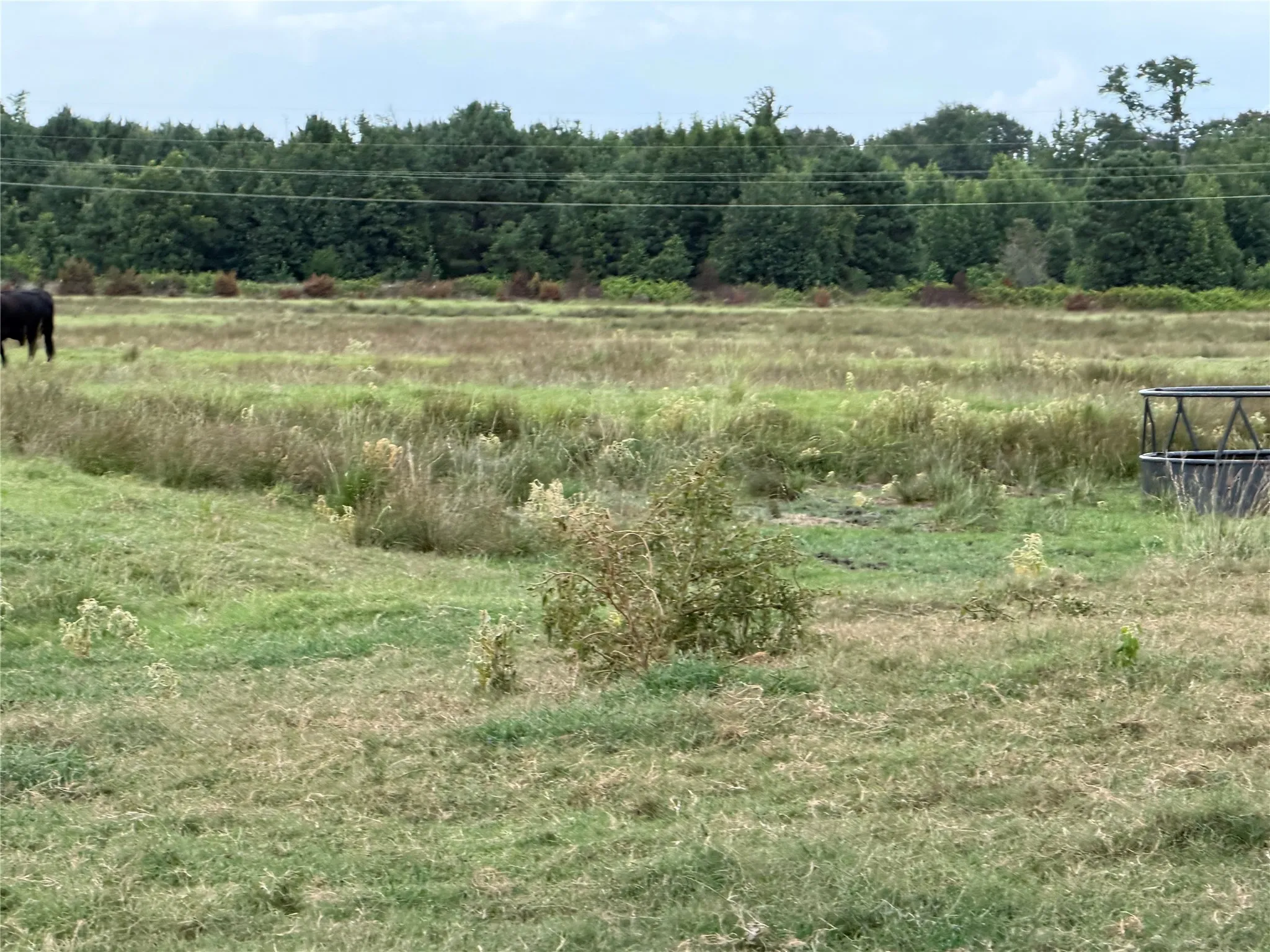 Single Family Residence For Sale in Camp County , 225 Farm to Market Rd 21, Pittsburg, Texas 75686, 3 Bedroom, 3 Bathroom, 2 Garage spaces, 2,241 Sqft, built in 1977, mls#21369328, Real Estate Agent in Pittsburg, Homes For Sale in Camp county, Homes For Sale in Pittsburg, Realtor in Pittsburg Texas, Real Estate Brokerage Independent Realty Texas, Luminita Cordes Realtor
