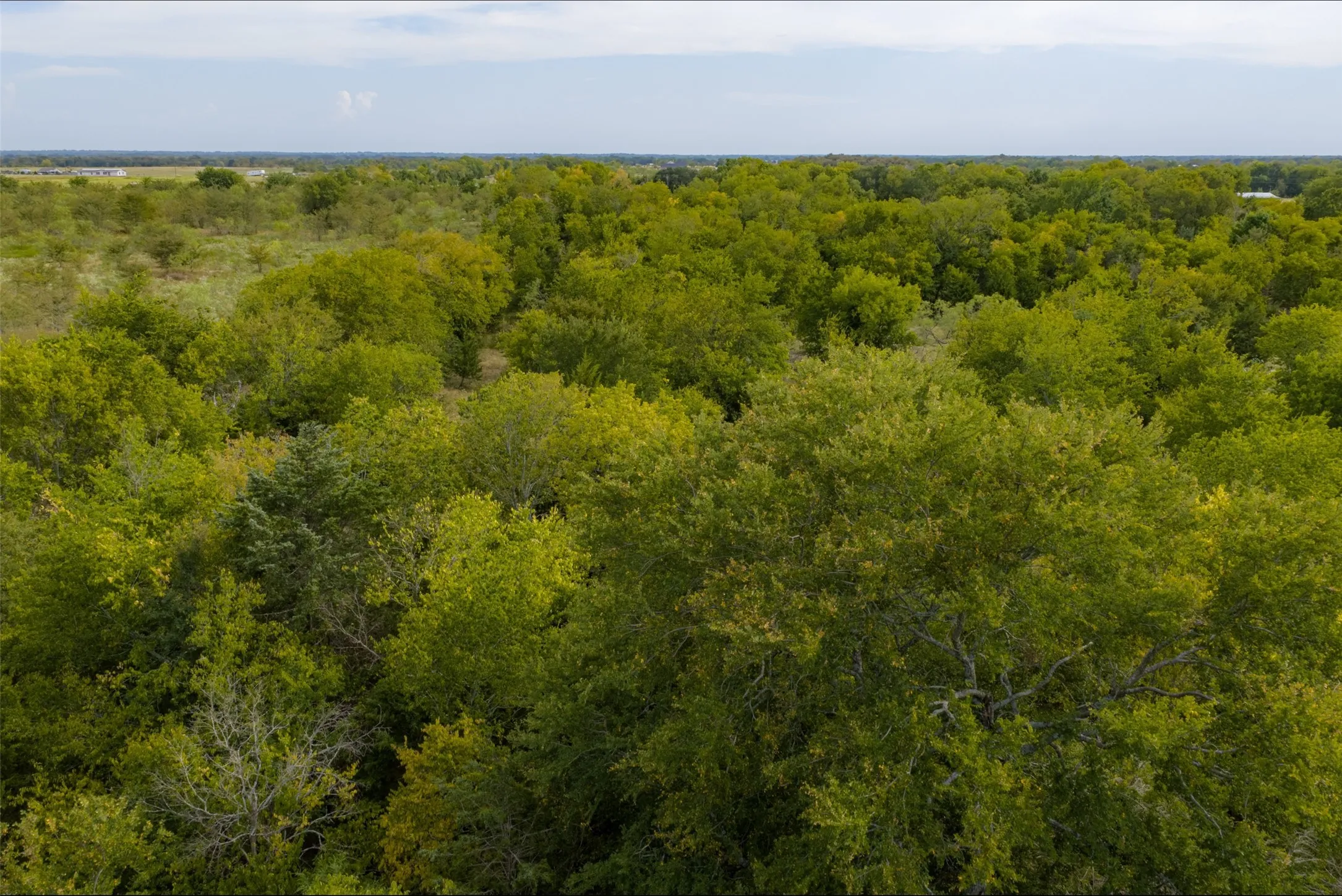 Unimproved Land For Sale in Van Zandt County , 0 CR 2623, Wills Point, Texas 75169, 0, 0, Garage spaces, 0 Sqft, built in 0, mls#21369324, Real Estate Agent in Wills Point, Homes For Sale in Van Zandt county, Homes For Sale in Wills Point, Realtor in Wills Point Texas, Real Estate Brokerage Independent Realty Texas, Luminita Cordes Realtor