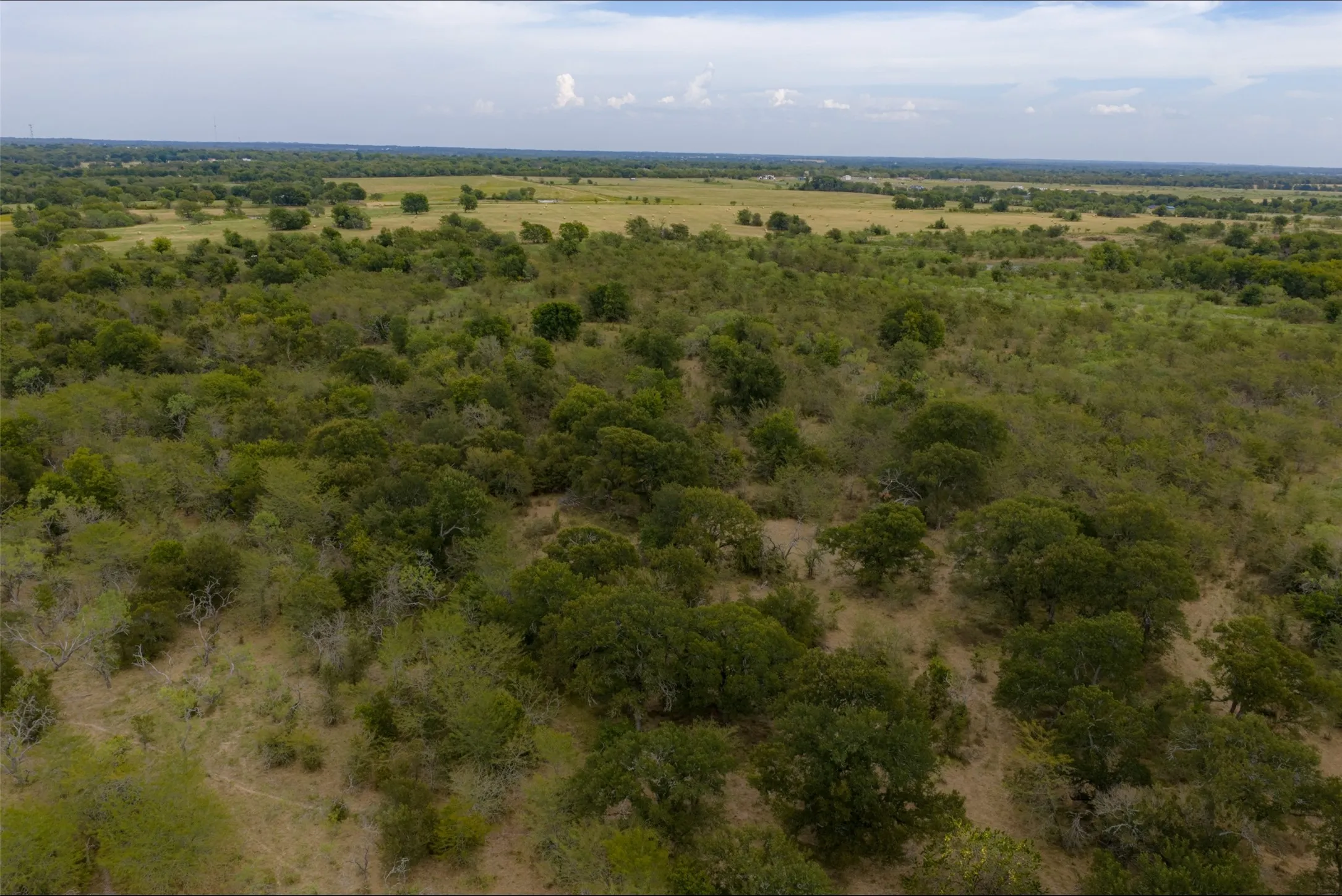 Unimproved Land For Sale in Van Zandt County , 0 CR 2623, Wills Point, Texas 75169, 0, 0, Garage spaces, 0 Sqft, built in 0, mls#21369324, Real Estate Agent in Wills Point, Homes For Sale in Van Zandt county, Homes For Sale in Wills Point, Realtor in Wills Point Texas, Real Estate Brokerage Independent Realty Texas, Luminita Cordes Realtor