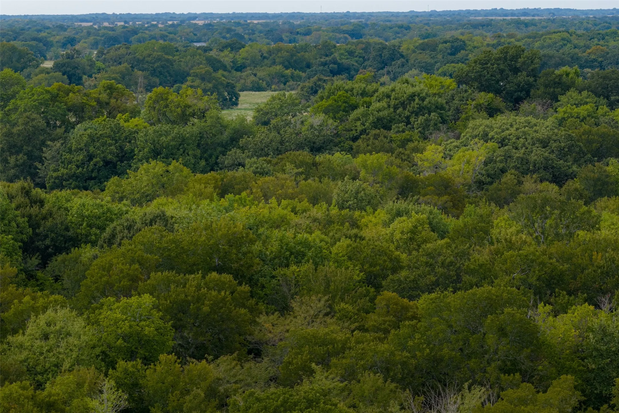 Unimproved Land For Sale in Van Zandt County , 0 CR 2623, Wills Point, Texas 75169, 0, 0, Garage spaces, 0 Sqft, built in 0, mls#21369324, Real Estate Agent in Wills Point, Homes For Sale in Van Zandt county, Homes For Sale in Wills Point, Realtor in Wills Point Texas, Real Estate Brokerage Independent Realty Texas, Luminita Cordes Realtor