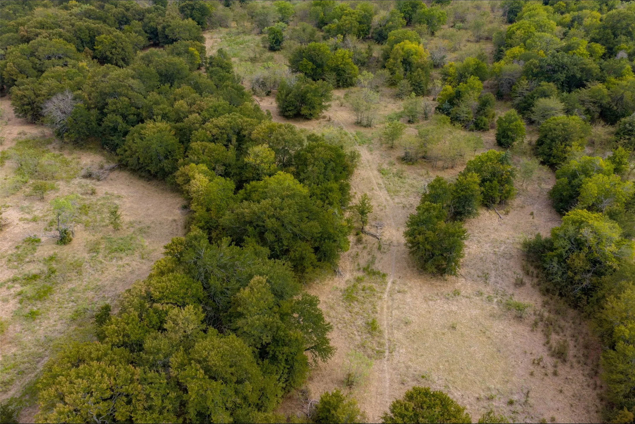 Unimproved Land For Sale in Van Zandt County , 0 CR 2623, Wills Point, Texas 75169, 0, 0, Garage spaces, 0 Sqft, built in 0, mls#21369324, Real Estate Agent in Wills Point, Homes For Sale in Van Zandt county, Homes For Sale in Wills Point, Realtor in Wills Point Texas, Real Estate Brokerage Independent Realty Texas, Luminita Cordes Realtor