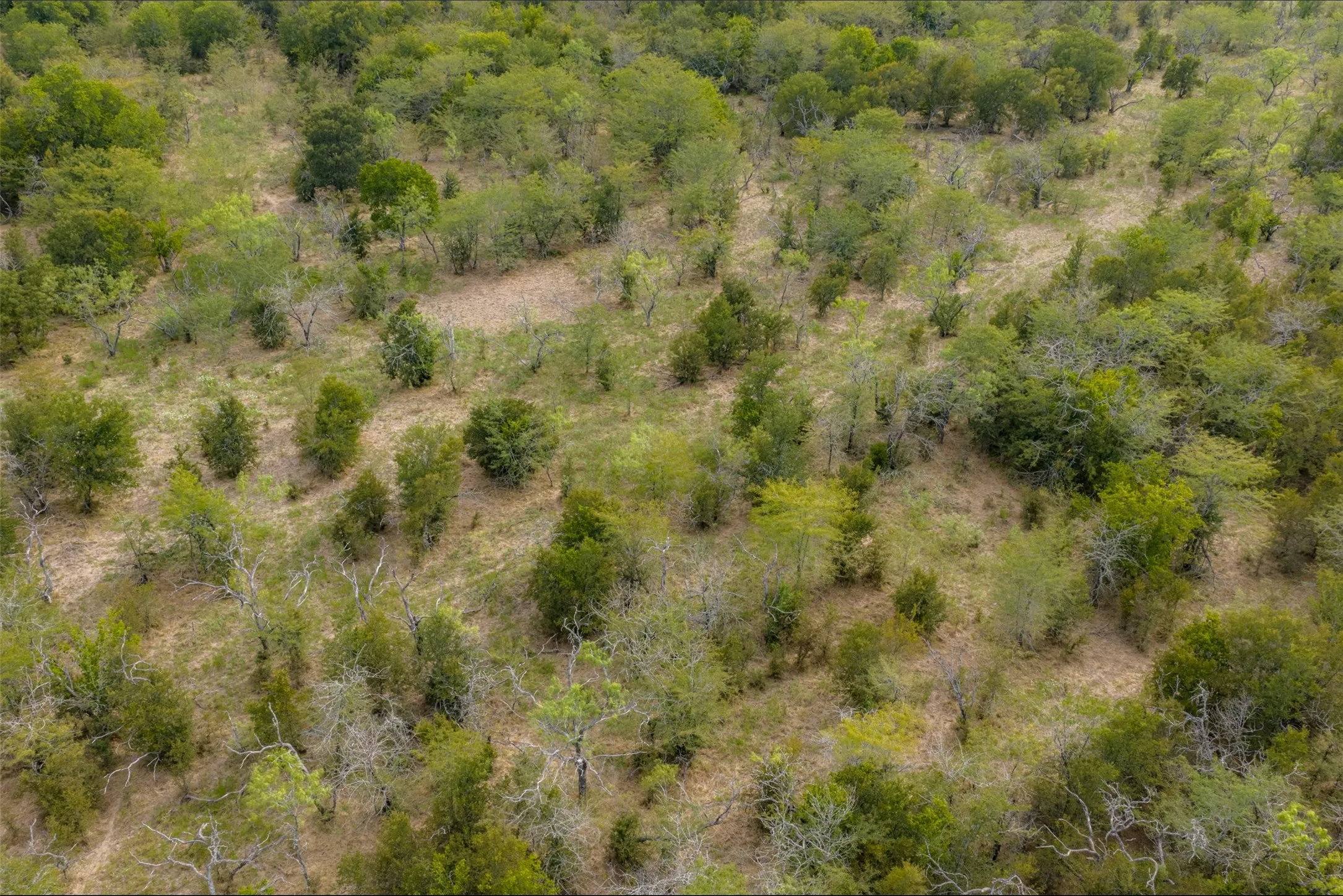 Unimproved Land For Sale in Van Zandt County , 0 CR 2623, Wills Point, Texas 75169, 0, 0, Garage spaces, 0 Sqft, built in 0, mls#21369324, Real Estate Agent in Wills Point, Homes For Sale in Van Zandt county, Homes For Sale in Wills Point, Realtor in Wills Point Texas, Real Estate Brokerage Independent Realty Texas, Luminita Cordes Realtor