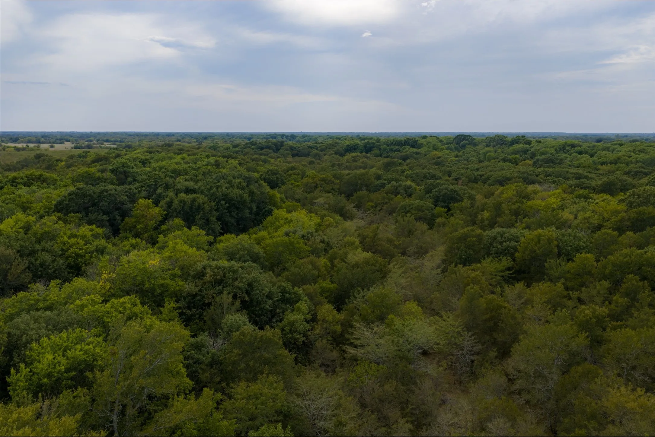 Unimproved Land For Sale in Van Zandt County , 0 CR 2623, Wills Point, Texas 75169, 0, 0, Garage spaces, 0 Sqft, built in 0, mls#21369324, Real Estate Agent in Wills Point, Homes For Sale in Van Zandt county, Homes For Sale in Wills Point, Realtor in Wills Point Texas, Real Estate Brokerage Independent Realty Texas, Luminita Cordes Realtor
