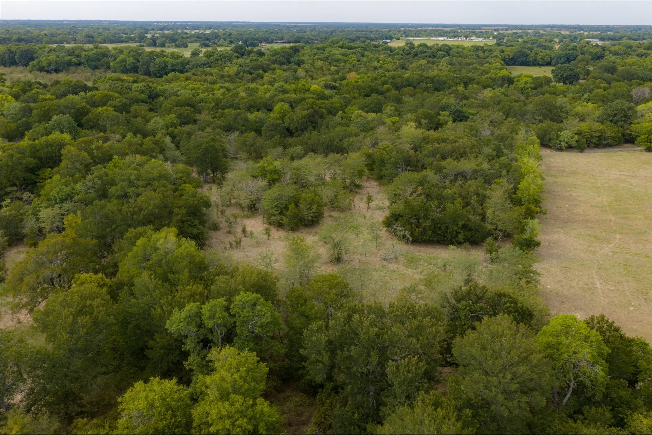 Unimproved Land For Sale in Van Zandt County , 0 CR 2623, Wills Point, Texas 75169, 0, 0, Garage spaces, 0 Sqft, built in 0, mls#21369324, Real Estate Agent in Wills Point, Homes For Sale in Van Zandt county, Homes For Sale in Wills Point, Realtor in Wills Point Texas, Real Estate Brokerage Independent Realty Texas, Luminita Cordes Realtor