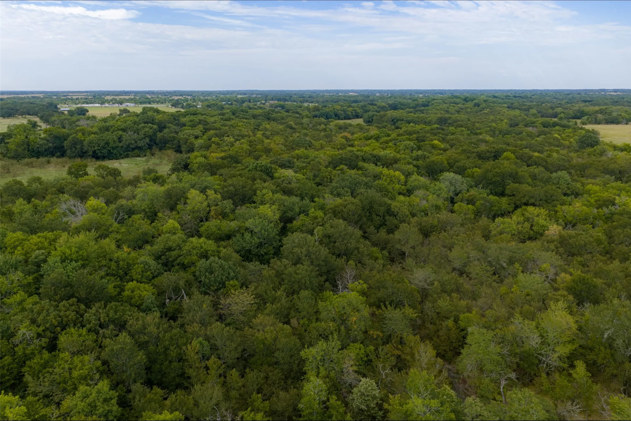 Unimproved Land For Sale in Van Zandt County , 0 CR 2623, Wills Point, Texas 75169, 0, 0, Garage spaces, 0 Sqft, built in 0, mls#21369324, Real Estate Agent in Wills Point, Homes For Sale in Van Zandt county, Homes For Sale in Wills Point, Realtor in Wills Point Texas, Real Estate Brokerage Independent Realty Texas, Luminita Cordes Realtor