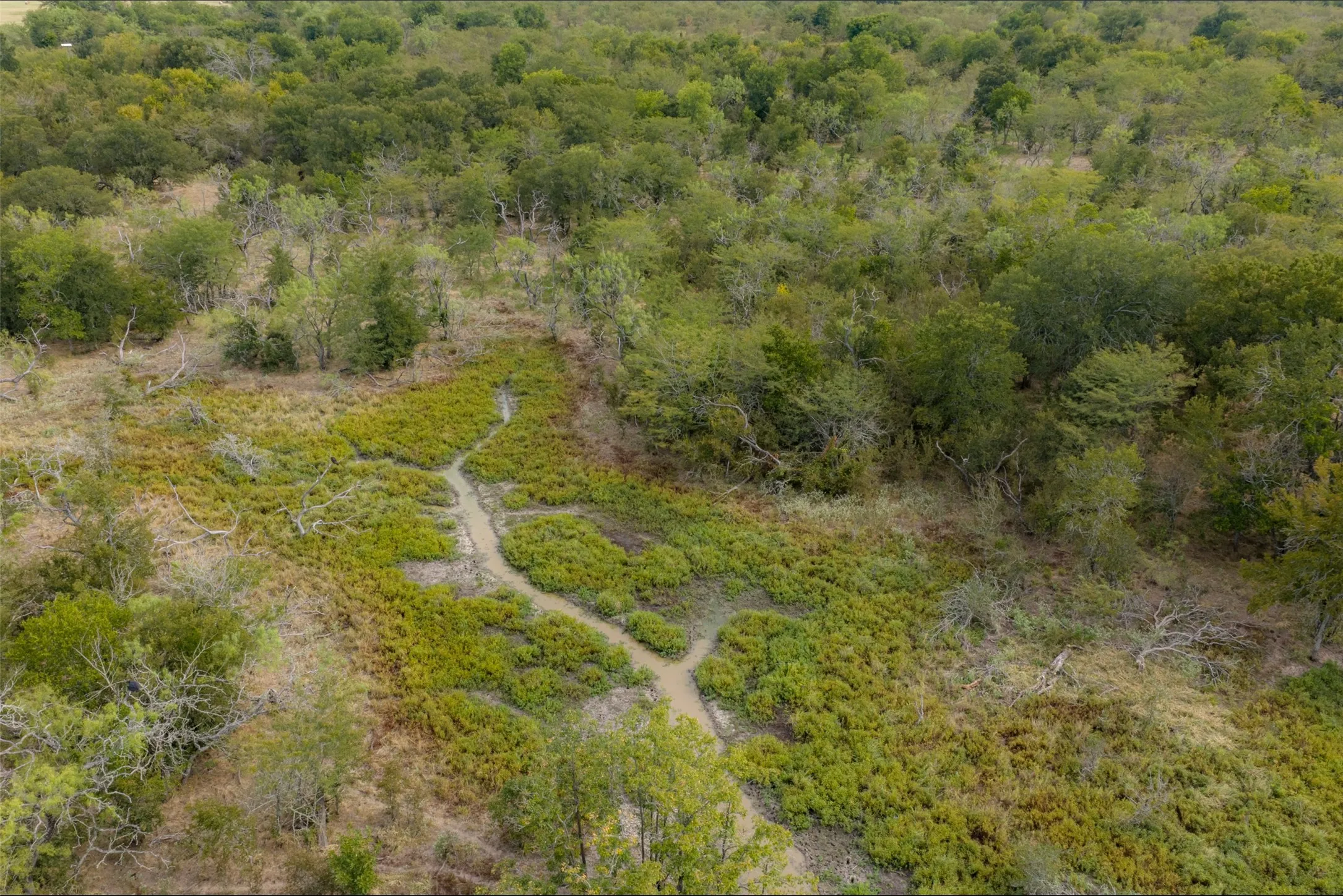 Unimproved Land For Sale in Van Zandt County , 0 CR 2623, Wills Point, Texas 75169, 0, 0, Garage spaces, 0 Sqft, built in 0, mls#21369324, Real Estate Agent in Wills Point, Homes For Sale in Van Zandt county, Homes For Sale in Wills Point, Realtor in Wills Point Texas, Real Estate Brokerage Independent Realty Texas, Luminita Cordes Realtor