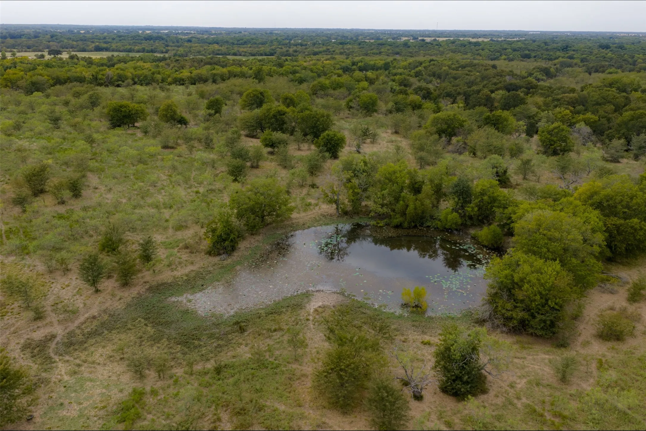 Unimproved Land For Sale in Van Zandt County , 0 CR 2623, Wills Point, Texas 75169, 0, 0, Garage spaces, 0 Sqft, built in 0, mls#21369324, Real Estate Agent in Wills Point, Homes For Sale in Van Zandt county, Homes For Sale in Wills Point, Realtor in Wills Point Texas, Real Estate Brokerage Independent Realty Texas, Luminita Cordes Realtor