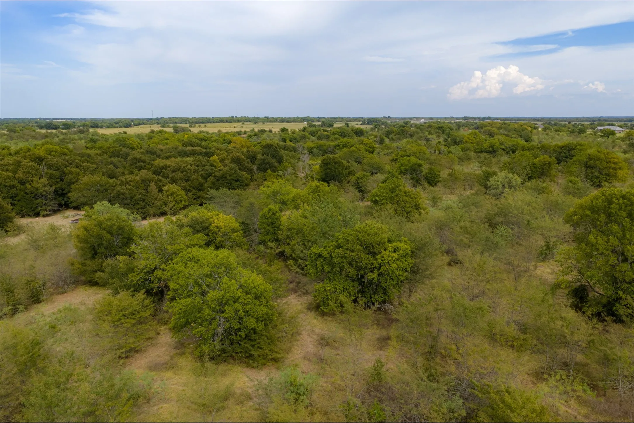 Unimproved Land For Sale in Van Zandt County , 0 CR 2623, Wills Point, Texas 75169, 0, 0, Garage spaces, 0 Sqft, built in 0, mls#21369324, Real Estate Agent in Wills Point, Homes For Sale in Van Zandt county, Homes For Sale in Wills Point, Realtor in Wills Point Texas, Real Estate Brokerage Independent Realty Texas, Luminita Cordes Realtor
