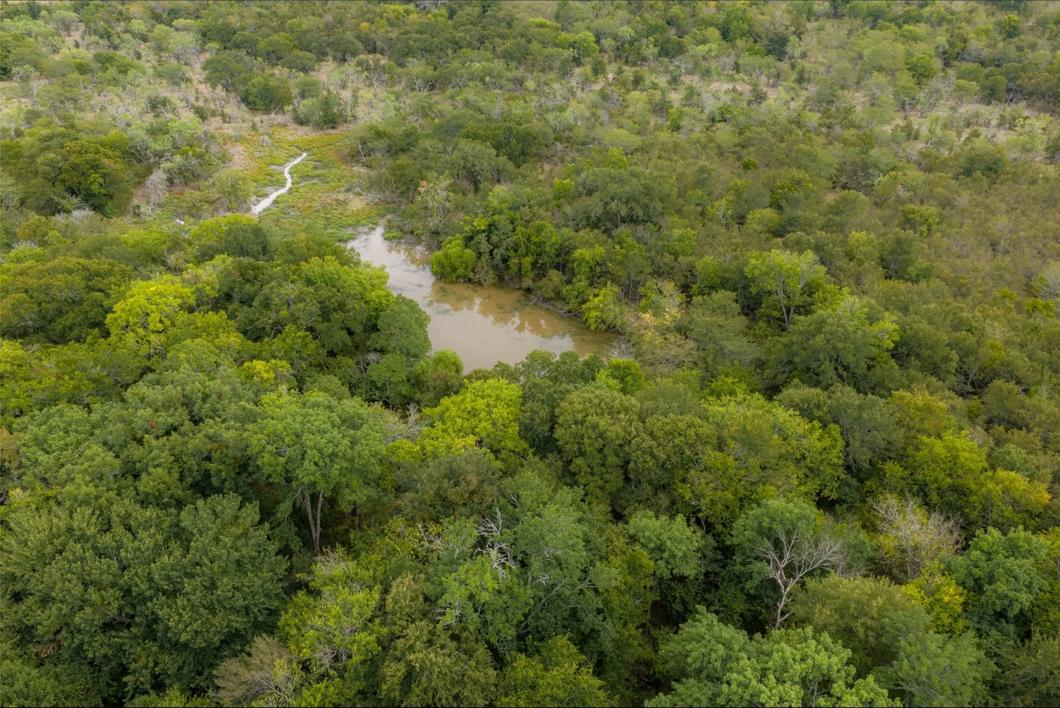 Unimproved Land For Sale in Van Zandt County , 0 CR 2623, Wills Point, Texas 75169, 0, 0, Garage spaces, 0 Sqft, built in 0, mls#21369324, Real Estate Agent in Wills Point, Homes For Sale in Van Zandt county, Homes For Sale in Wills Point, Realtor in Wills Point Texas, Real Estate Brokerage Independent Realty Texas, Luminita Cordes Realtor