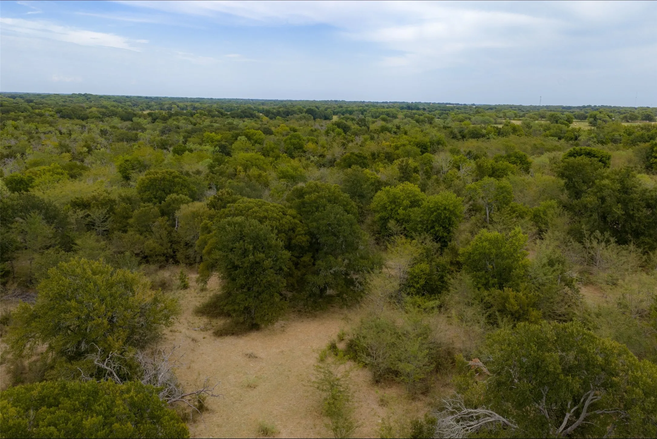 Unimproved Land For Sale in Van Zandt County , 0 CR 2623, Wills Point, Texas 75169, 0, 0, Garage spaces, 0 Sqft, built in 0, mls#21369324, Real Estate Agent in Wills Point, Homes For Sale in Van Zandt county, Homes For Sale in Wills Point, Realtor in Wills Point Texas, Real Estate Brokerage Independent Realty Texas, Luminita Cordes Realtor