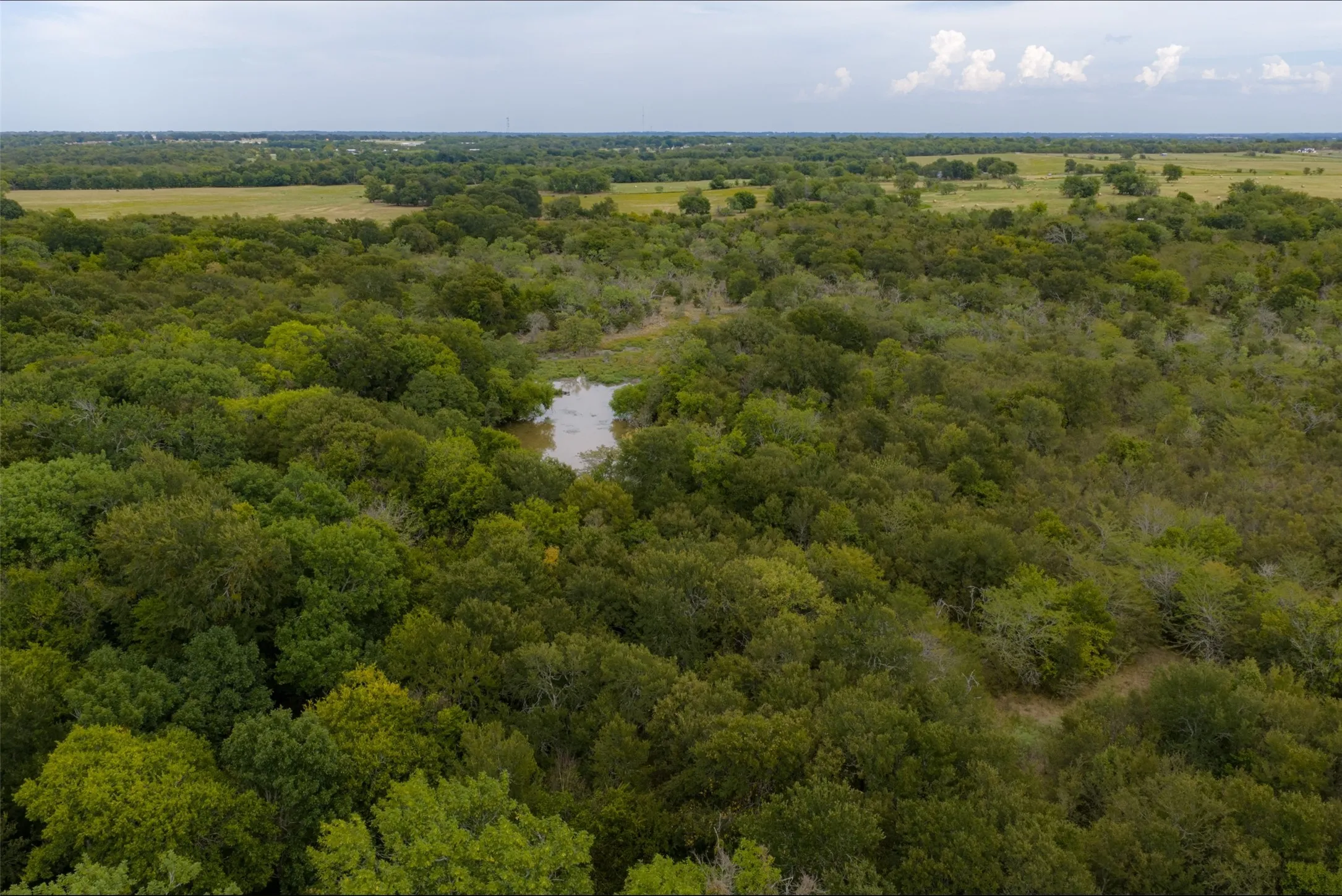 Unimproved Land For Sale in Van Zandt County , 0 CR 2623, Wills Point, Texas 75169, 0, 0, Garage spaces, 0 Sqft, built in 0, mls#21369324, Real Estate Agent in Wills Point, Homes For Sale in Van Zandt county, Homes For Sale in Wills Point, Realtor in Wills Point Texas, Real Estate Brokerage Independent Realty Texas, Luminita Cordes Realtor