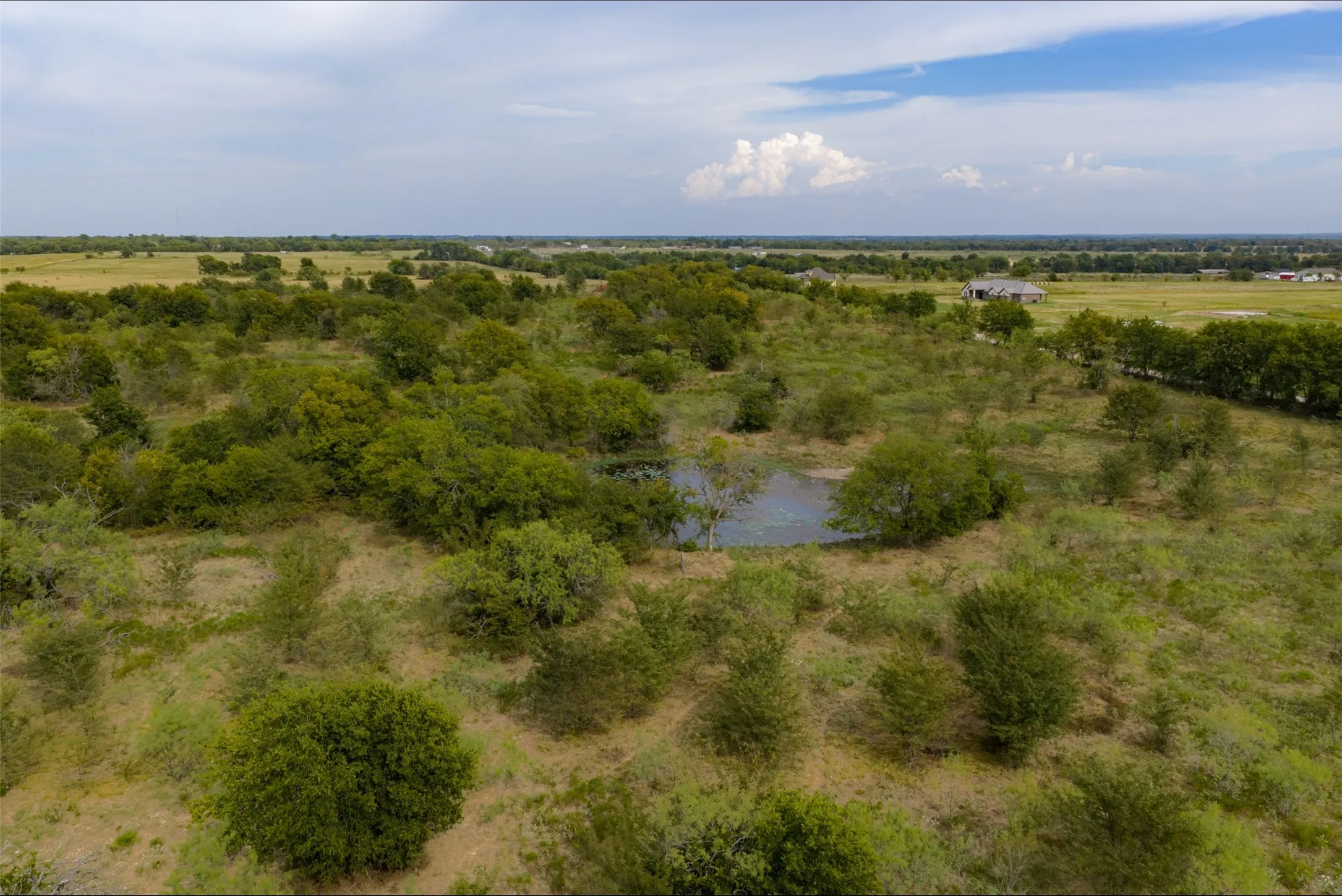 Unimproved Land For Sale in Van Zandt County , 0 CR 2623, Wills Point, Texas 75169, 0, 0, Garage spaces, 0 Sqft, built in 0, mls#21369324, Real Estate Agent in Wills Point, Homes For Sale in Van Zandt county, Homes For Sale in Wills Point, Realtor in Wills Point Texas, Real Estate Brokerage Independent Realty Texas, Luminita Cordes Realtor