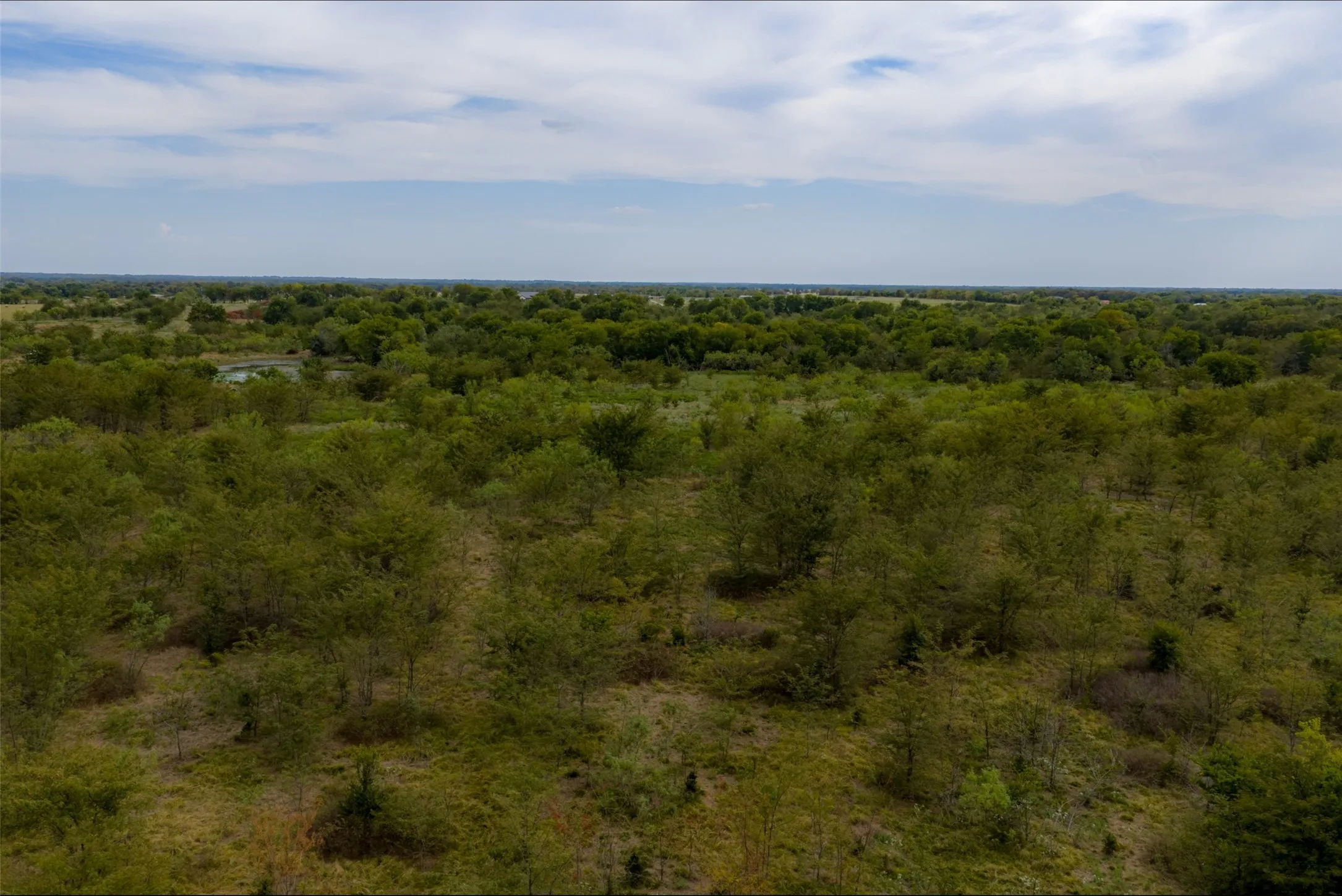 Unimproved Land For Sale in Van Zandt County , 0 CR 2623, Wills Point, Texas 75169, 0, 0, Garage spaces, 0 Sqft, built in 0, mls#21369324, Real Estate Agent in Wills Point, Homes For Sale in Van Zandt county, Homes For Sale in Wills Point, Realtor in Wills Point Texas, Real Estate Brokerage Independent Realty Texas, Luminita Cordes Realtor