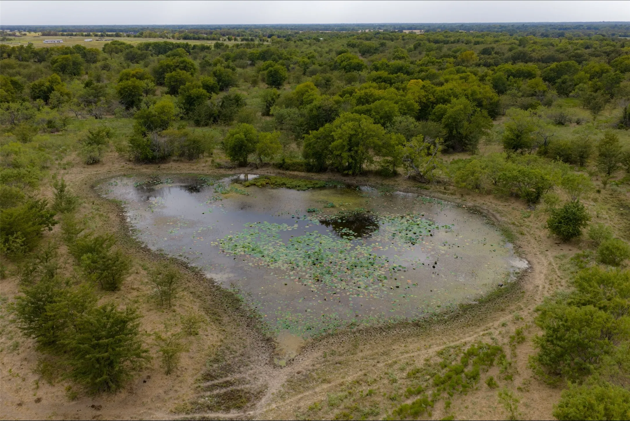 Unimproved Land For Sale in Van Zandt County , 0 CR 2623, Wills Point, Texas 75169, 0, 0, Garage spaces, 0 Sqft, built in 0, mls#21369324, Real Estate Agent in Wills Point, Homes For Sale in Van Zandt county, Homes For Sale in Wills Point, Realtor in Wills Point Texas, Real Estate Brokerage Independent Realty Texas, Luminita Cordes Realtor