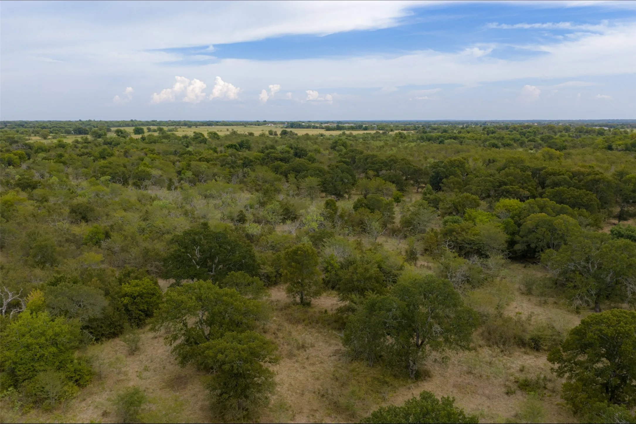 Unimproved Land For Sale in Van Zandt County , 0 CR 2623, Wills Point, Texas 75169, 0, 0, Garage spaces, 0 Sqft, built in 0, mls#21369324, Real Estate Agent in Wills Point, Homes For Sale in Van Zandt county, Homes For Sale in Wills Point, Realtor in Wills Point Texas, Real Estate Brokerage Independent Realty Texas, Luminita Cordes Realtor