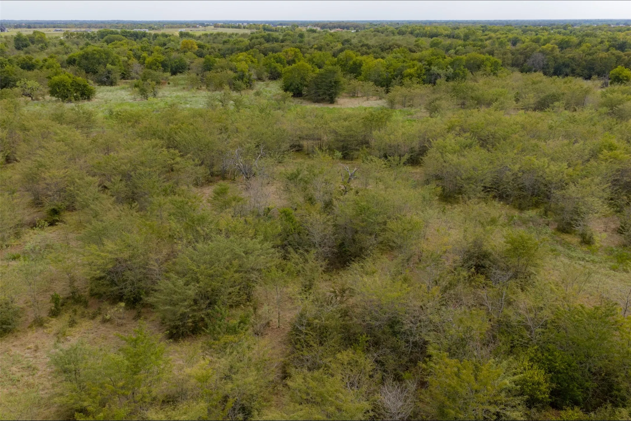 Unimproved Land For Sale in Van Zandt County , 0 CR 2623, Wills Point, Texas 75169, 0, 0, Garage spaces, 0 Sqft, built in 0, mls#21369324, Real Estate Agent in Wills Point, Homes For Sale in Van Zandt county, Homes For Sale in Wills Point, Realtor in Wills Point Texas, Real Estate Brokerage Independent Realty Texas, Luminita Cordes Realtor