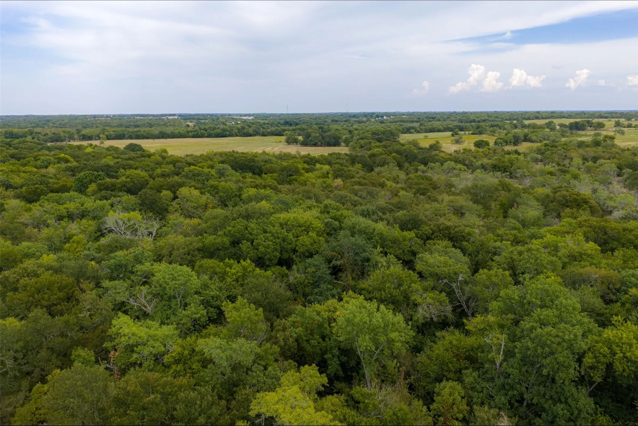Unimproved Land For Sale in Van Zandt County , 0 CR 2623, Wills Point, Texas 75169, 0, 0, Garage spaces, 0 Sqft, built in 0, mls#21369324, Real Estate Agent in Wills Point, Homes For Sale in Van Zandt county, Homes For Sale in Wills Point, Realtor in Wills Point Texas, Real Estate Brokerage Independent Realty Texas, Luminita Cordes Realtor
