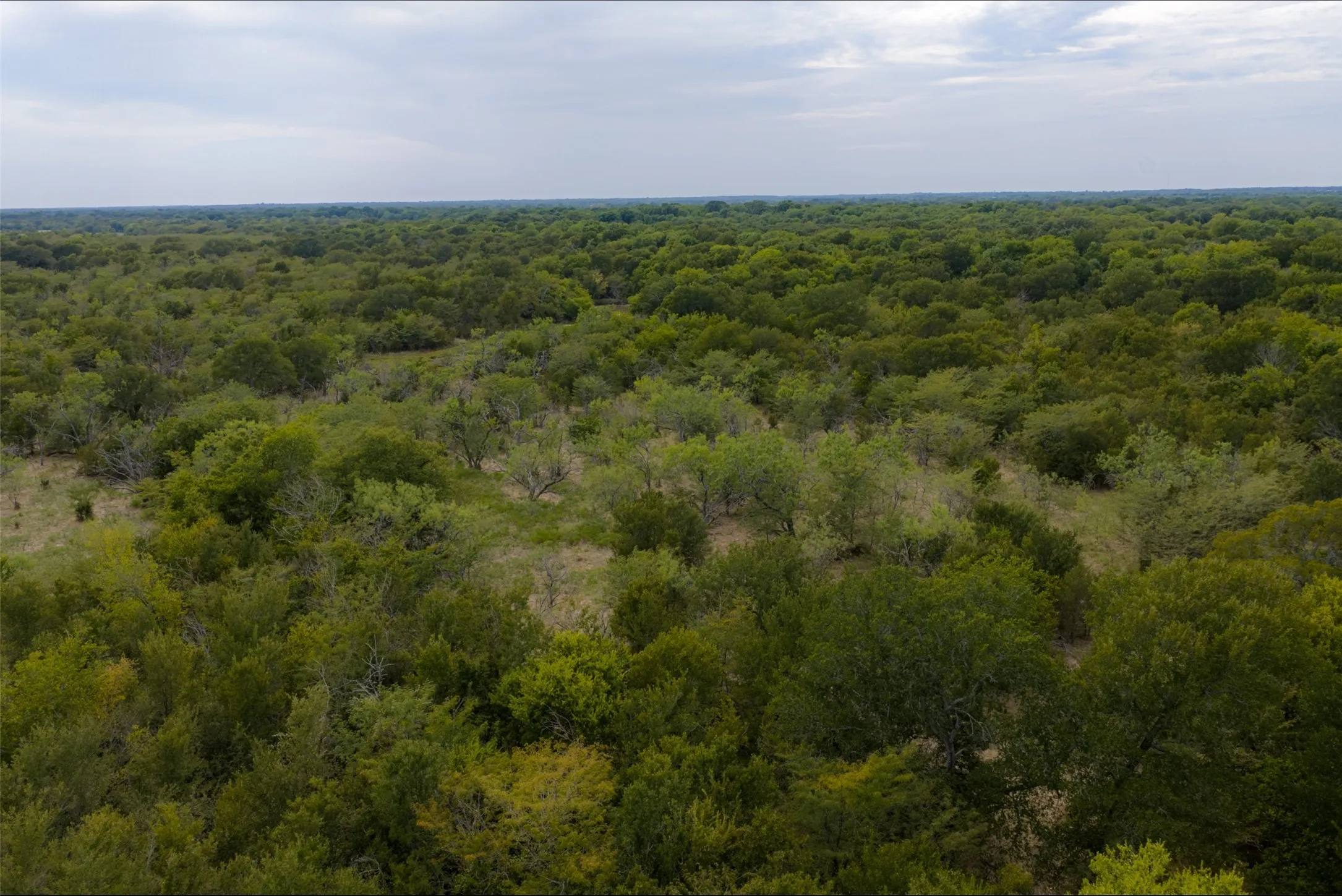 Unimproved Land For Sale in Van Zandt County , 0 CR 2623, Wills Point, Texas 75169, 0, 0, Garage spaces, 0 Sqft, built in 0, mls#21369324, Real Estate Agent in Wills Point, Homes For Sale in Van Zandt county, Homes For Sale in Wills Point, Realtor in Wills Point Texas, Real Estate Brokerage Independent Realty Texas, Luminita Cordes Realtor