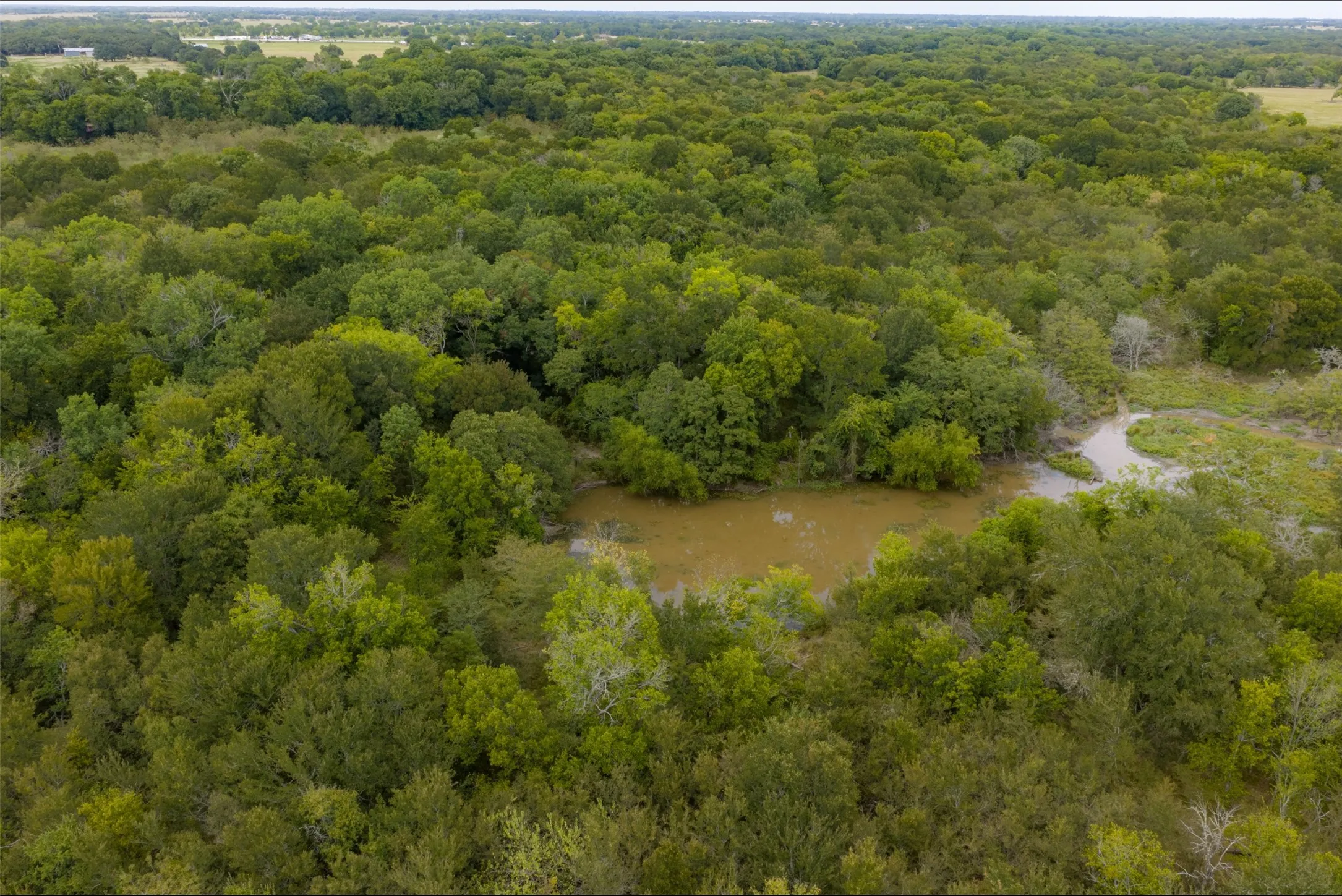 Unimproved Land For Sale in Van Zandt County , 0 CR 2623, Wills Point, Texas 75169, 0, 0, Garage spaces, 0 Sqft, built in 0, mls#21369324, Real Estate Agent in Wills Point, Homes For Sale in Van Zandt county, Homes For Sale in Wills Point, Realtor in Wills Point Texas, Real Estate Brokerage Independent Realty Texas, Luminita Cordes Realtor