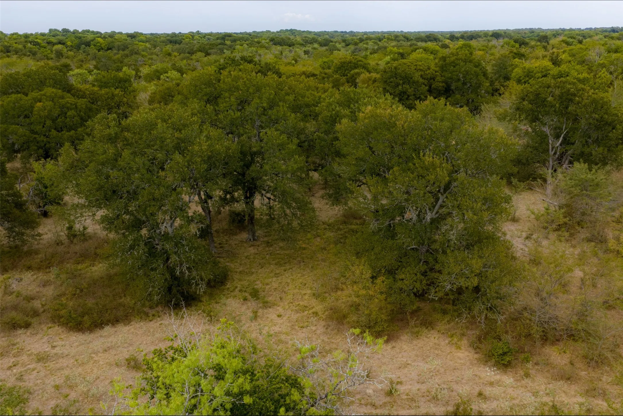 Unimproved Land For Sale in Van Zandt County , 0 CR 2623, Wills Point, Texas 75169, 0, 0, Garage spaces, 0 Sqft, built in 0, mls#21369324, Real Estate Agent in Wills Point, Homes For Sale in Van Zandt county, Homes For Sale in Wills Point, Realtor in Wills Point Texas, Real Estate Brokerage Independent Realty Texas, Luminita Cordes Realtor