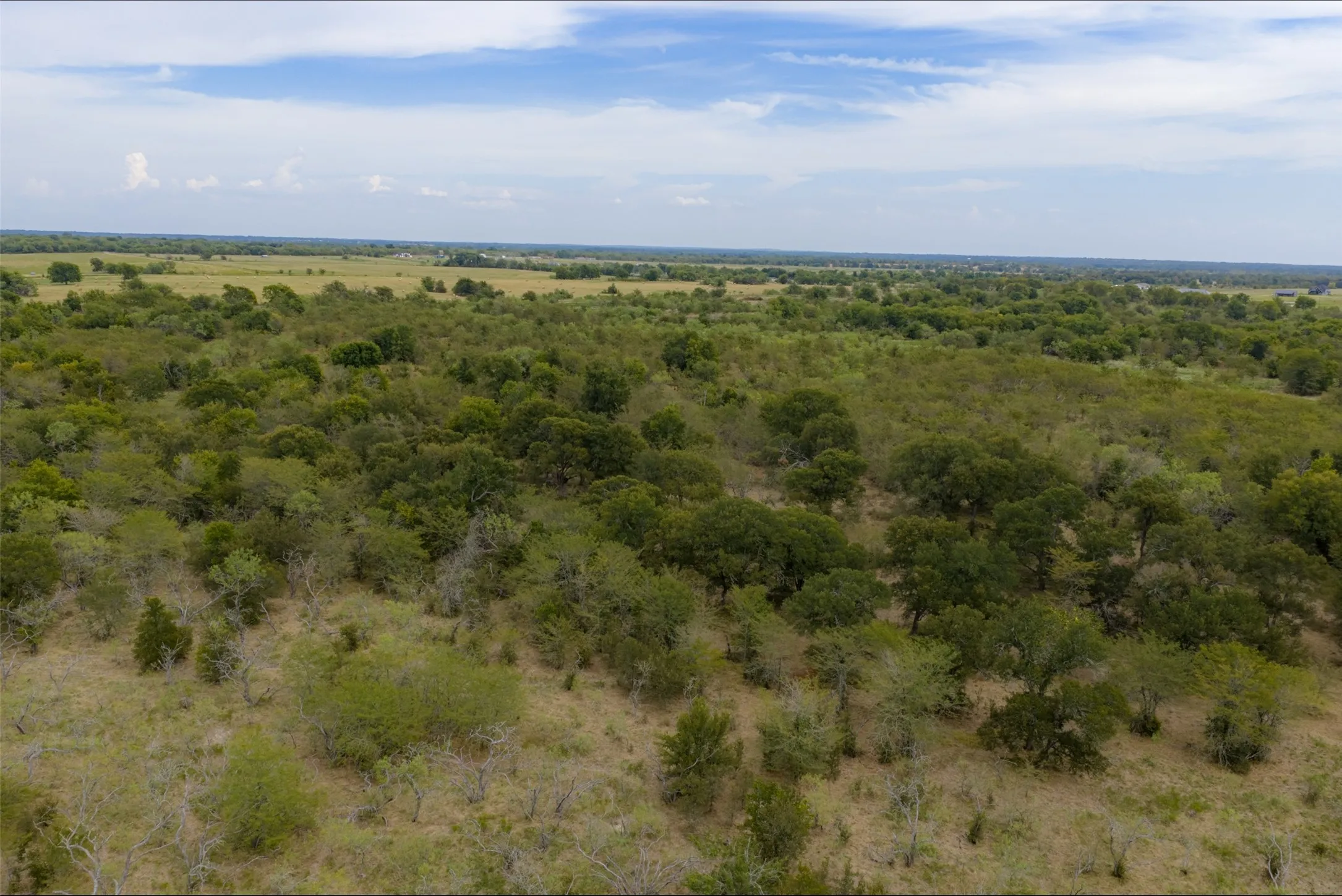 Unimproved Land For Sale in Van Zandt County , 0 CR 2623, Wills Point, Texas 75169, 0, 0, Garage spaces, 0 Sqft, built in 0, mls#21369324, Real Estate Agent in Wills Point, Homes For Sale in Van Zandt county, Homes For Sale in Wills Point, Realtor in Wills Point Texas, Real Estate Brokerage Independent Realty Texas, Luminita Cordes Realtor