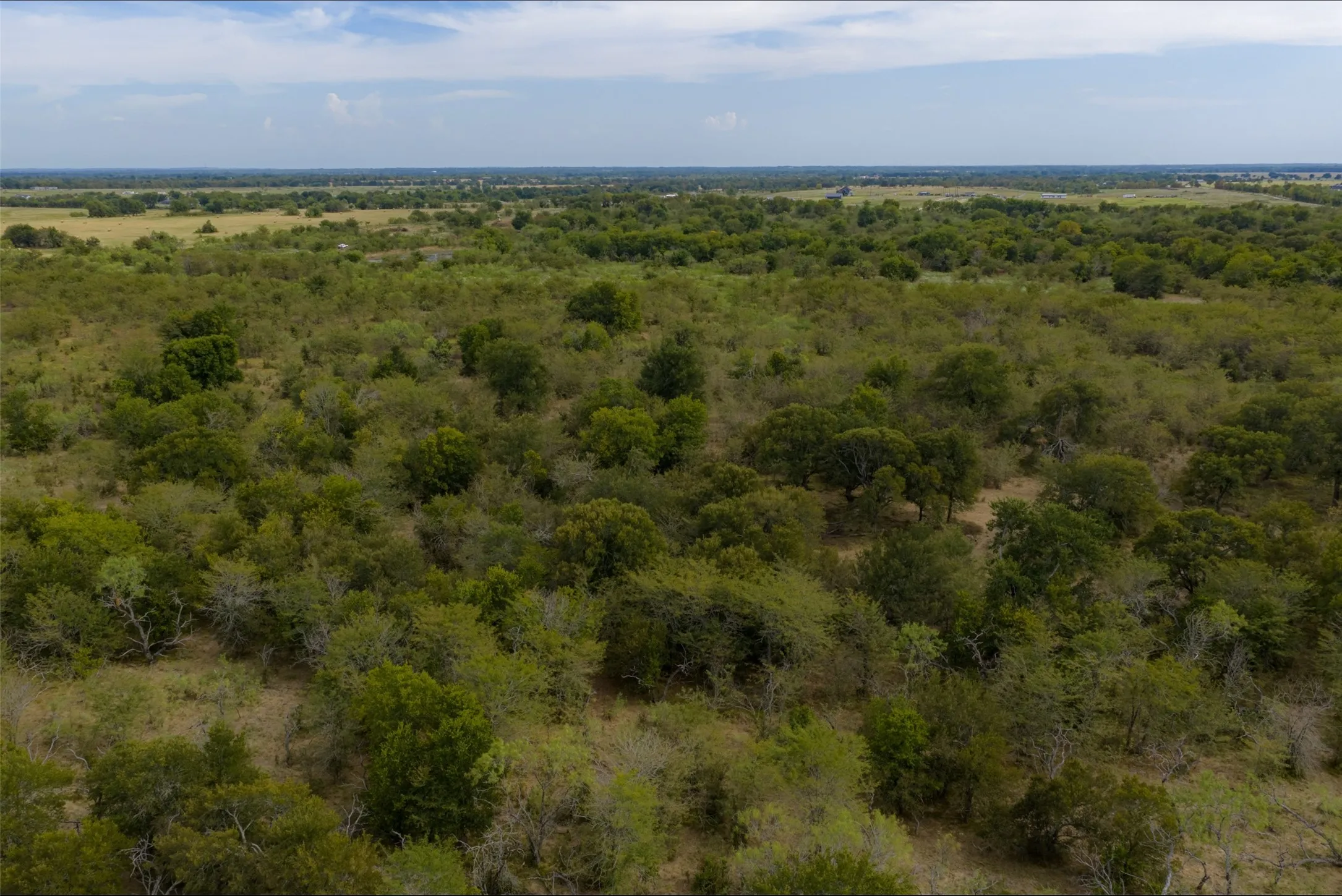 Unimproved Land For Sale in Van Zandt County , 0 CR 2623, Wills Point, Texas 75169, 0, 0, Garage spaces, 0 Sqft, built in 0, mls#21369324, Real Estate Agent in Wills Point, Homes For Sale in Van Zandt county, Homes For Sale in Wills Point, Realtor in Wills Point Texas, Real Estate Brokerage Independent Realty Texas, Luminita Cordes Realtor