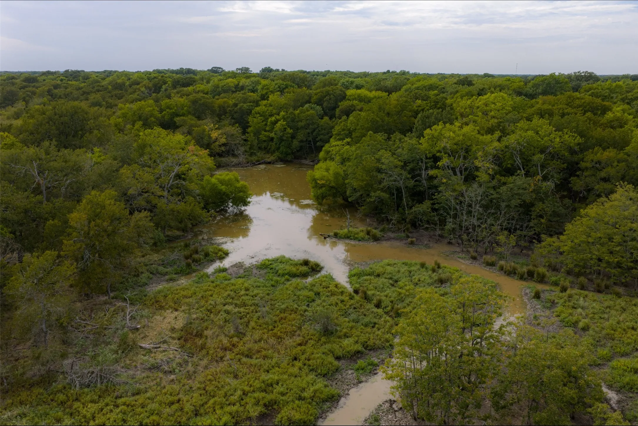 Unimproved Land For Sale in Van Zandt County , 0 CR 2623, Wills Point, Texas 75169, 0, 0, Garage spaces, 0 Sqft, built in 0, mls#21369324, Real Estate Agent in Wills Point, Homes For Sale in Van Zandt county, Homes For Sale in Wills Point, Realtor in Wills Point Texas, Real Estate Brokerage Independent Realty Texas, Luminita Cordes Realtor