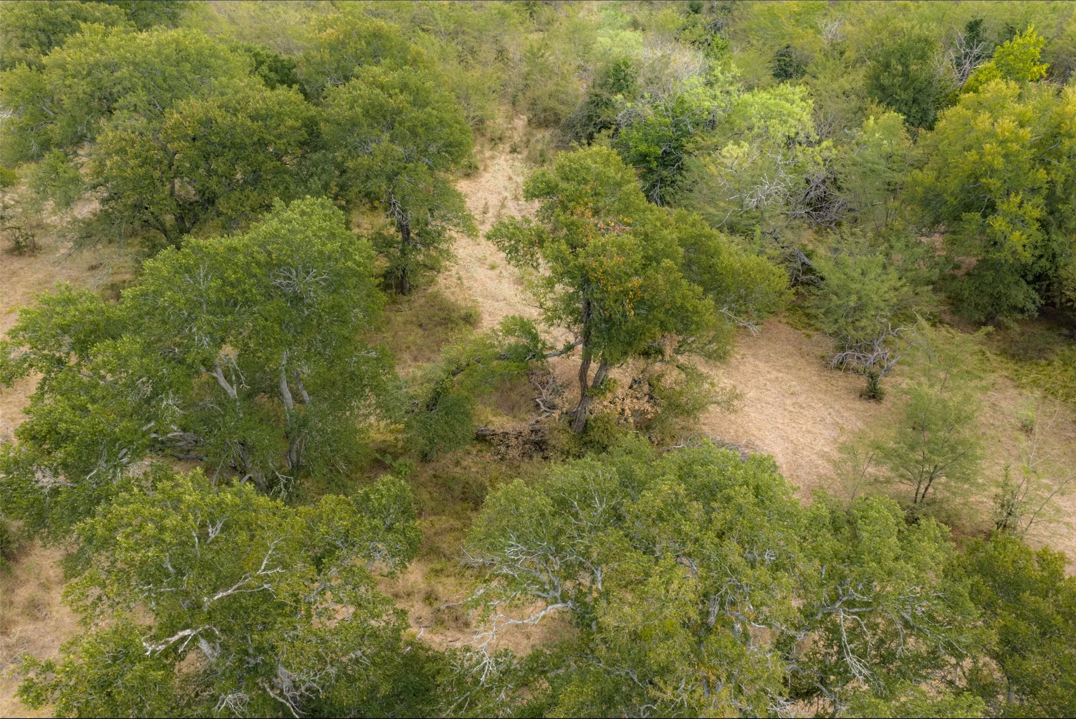 Unimproved Land For Sale in Van Zandt County , 0 CR 2623, Wills Point, Texas 75169, 0, 0, Garage spaces, 0 Sqft, built in 0, mls#21369324, Real Estate Agent in Wills Point, Homes For Sale in Van Zandt county, Homes For Sale in Wills Point, Realtor in Wills Point Texas, Real Estate Brokerage Independent Realty Texas, Luminita Cordes Realtor