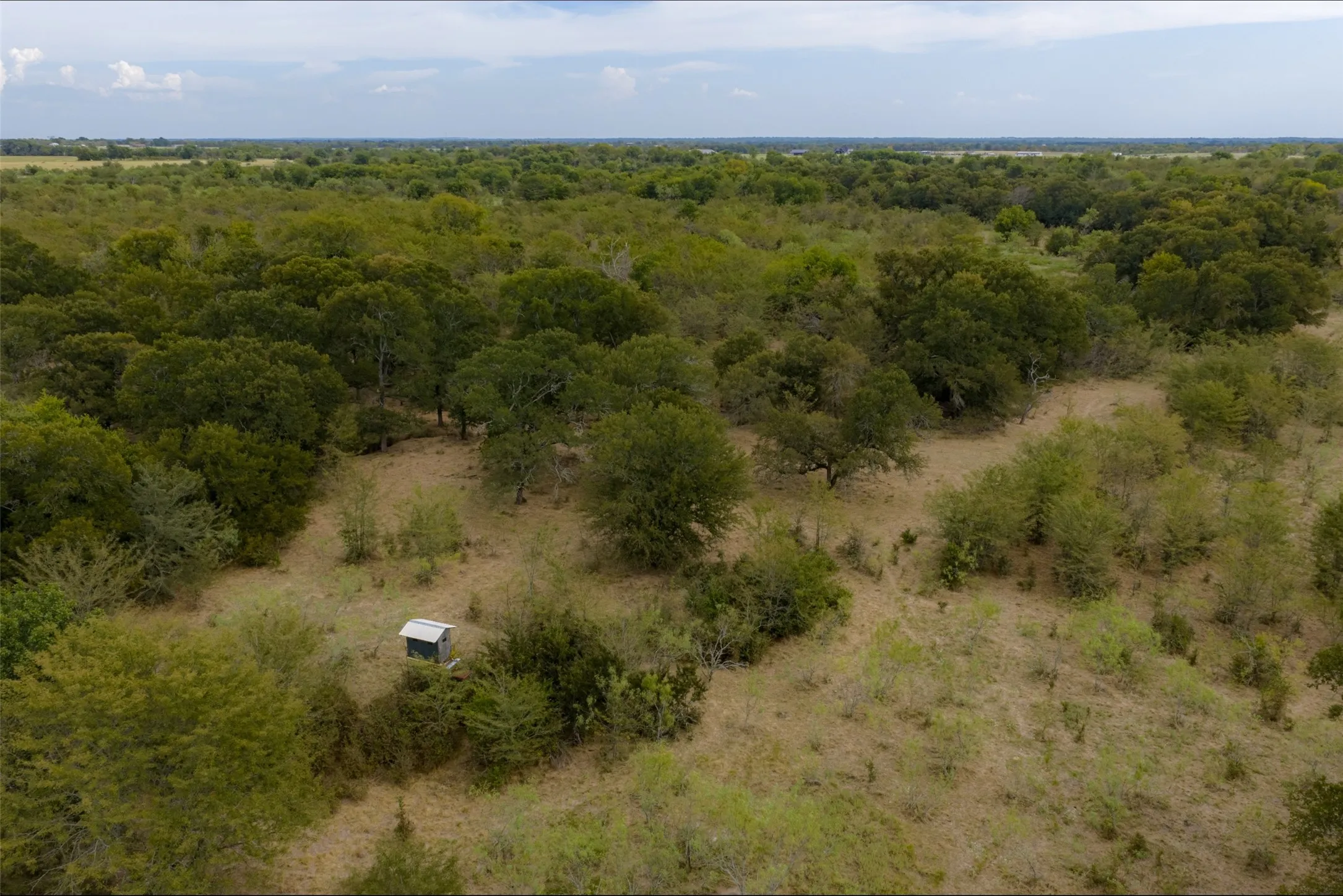 Unimproved Land For Sale in Van Zandt County , 0 CR 2623, Wills Point, Texas 75169, 0, 0, Garage spaces, 0 Sqft, built in 0, mls#21369324, Real Estate Agent in Wills Point, Homes For Sale in Van Zandt county, Homes For Sale in Wills Point, Realtor in Wills Point Texas, Real Estate Brokerage Independent Realty Texas, Luminita Cordes Realtor