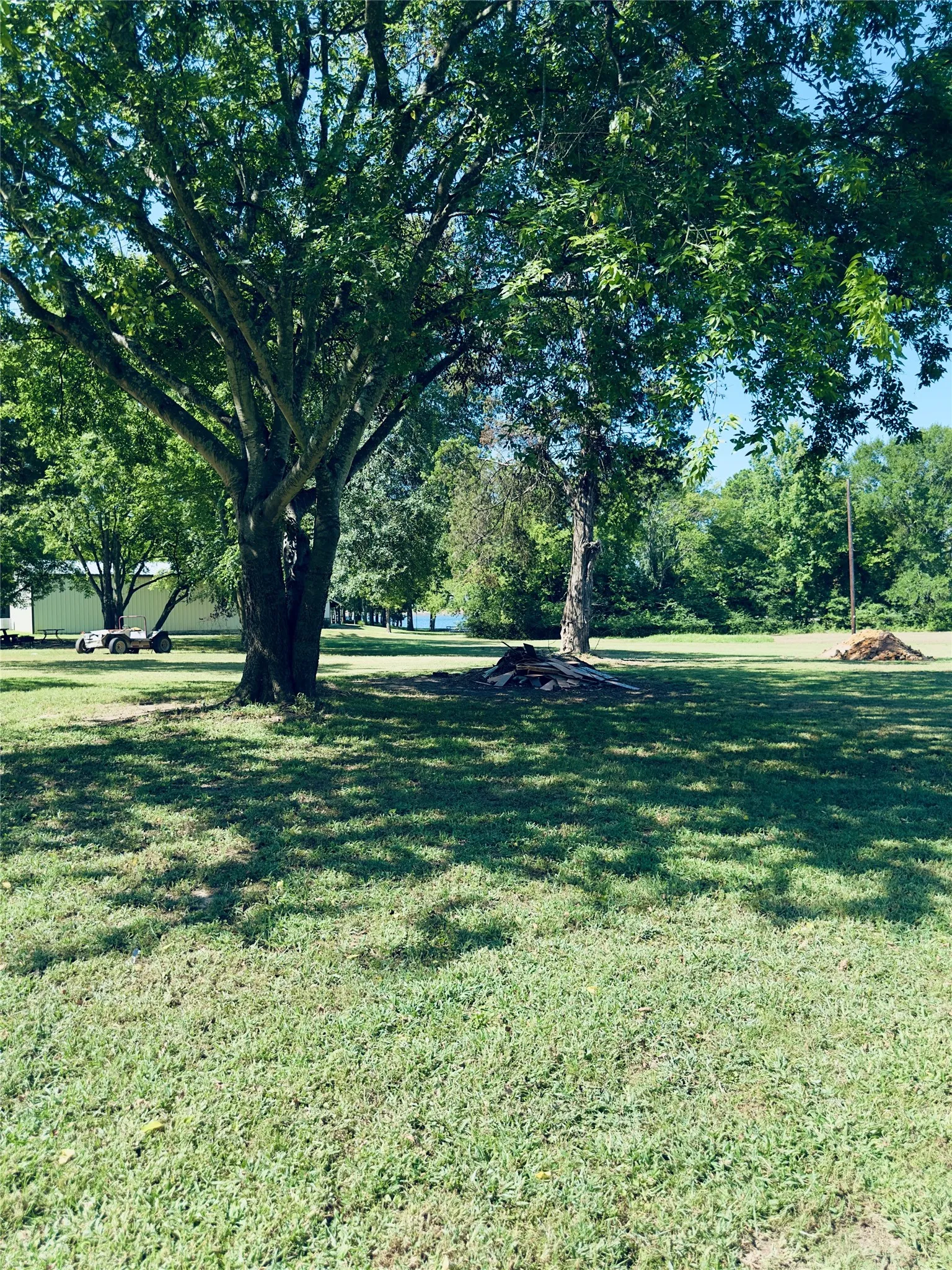 Expansive grassy area with mature shade trees