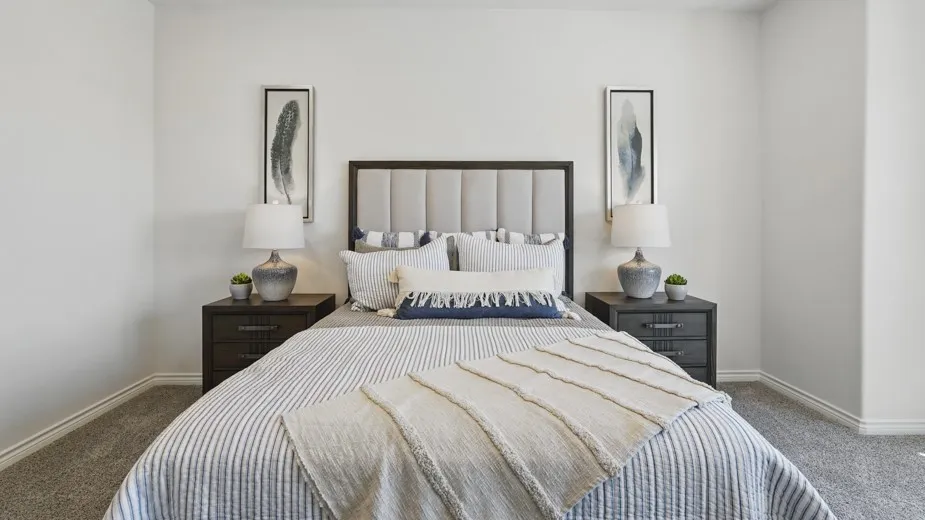 Carpeted flooring, white wall finishes, and a padded headboard