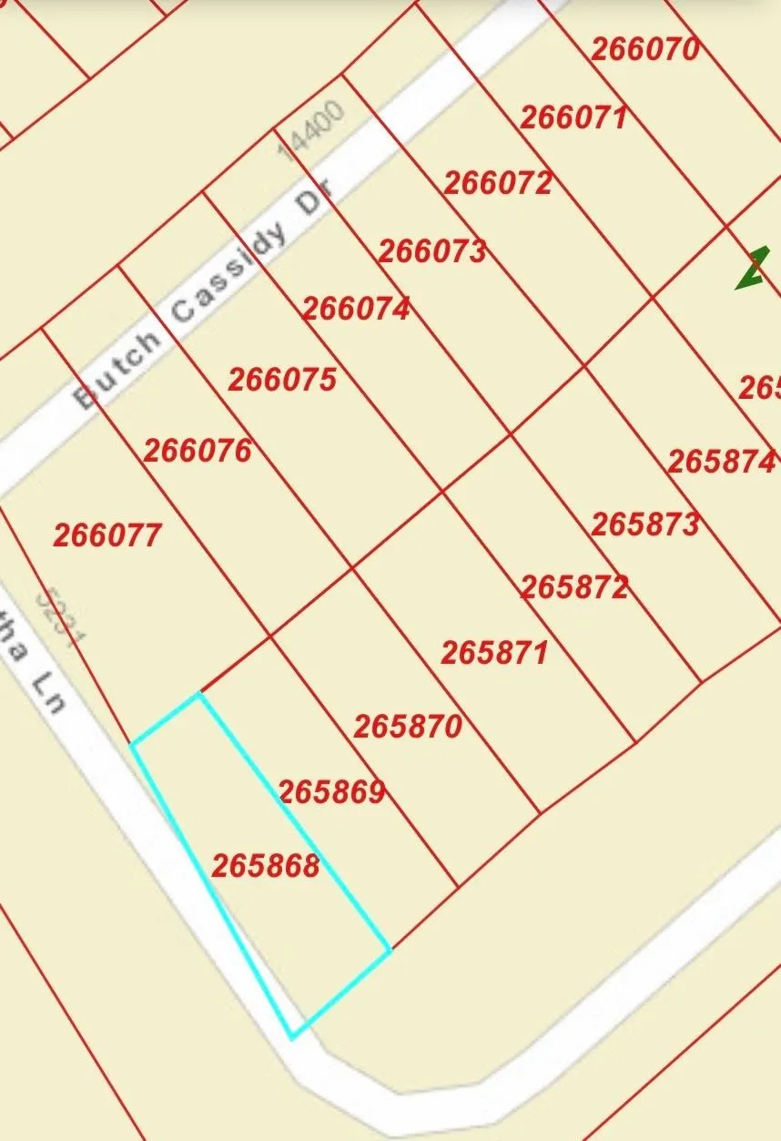 Plat Map. Illustrating the division of the property into numbered parcels and roadways
