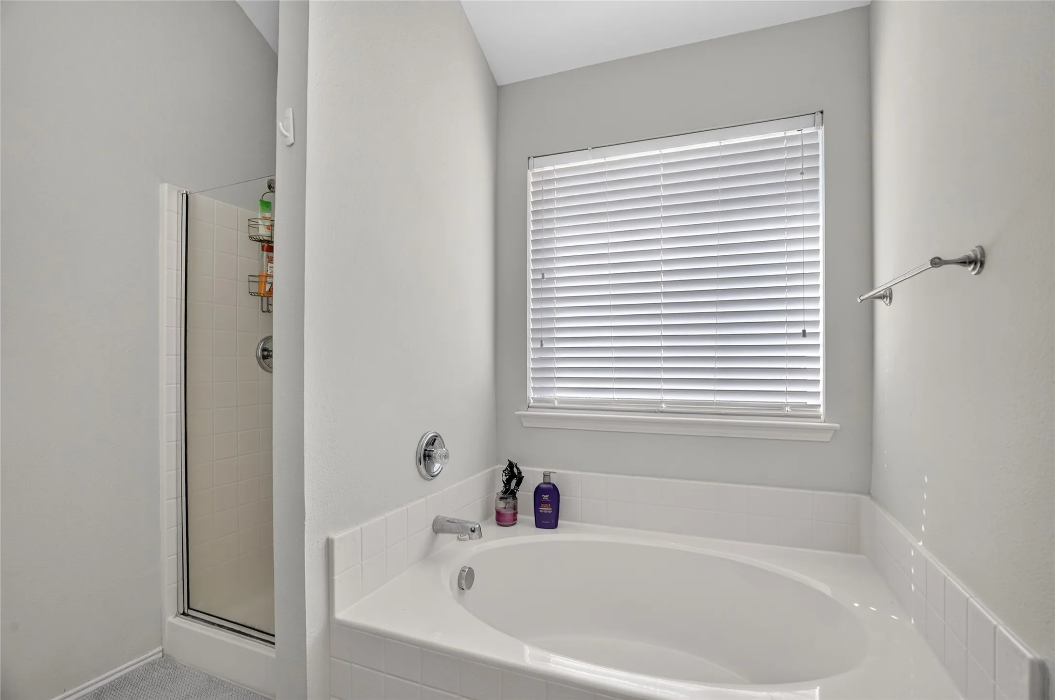 Single Family Residence For Rent in Tarrant County , 6241 Trinity Creek Drive, Fort Worth, Texas 76179, 3 Bedroom, 2 Bathroom, 2 Garage spaces, 1,290 Sqft, built in 2006, mls#21369448, Real Estate Agent in Fort Worth, Homes For Rent in Tarrant county, Homes For Rent in Fort Worth, Realtor in Fort Worth Texas, Real Estate Brokerage Independent Realty Texas, Luminita Cordes Realtor