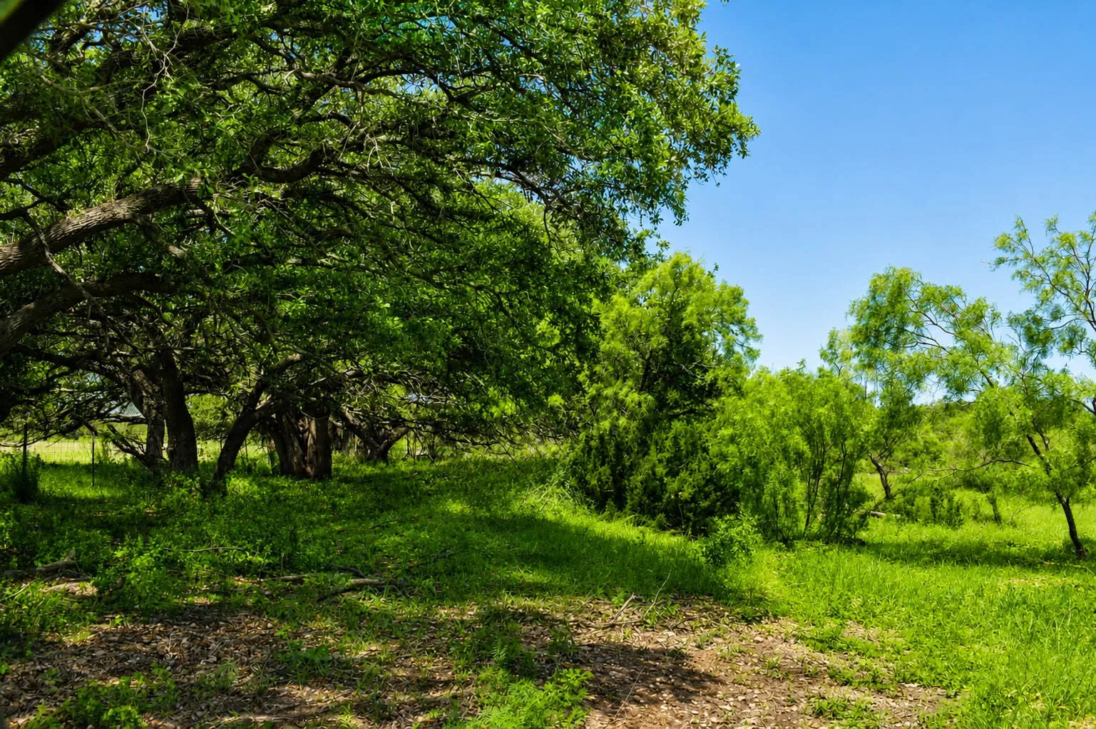 Ranch For Sale in Mc Culloch County , 8228 US HWY 377, Rochelle, Texas 76872, 0, 0, Garage spaces, 0 Sqft, built in 2022, mls#21369443, Real Estate Agent in Rochelle, Homes For Sale in Mc Culloch county, Homes For Sale in Rochelle, Realtor in Rochelle Texas, Real Estate Brokerage Independent Realty Texas, Luminita Cordes Realtor