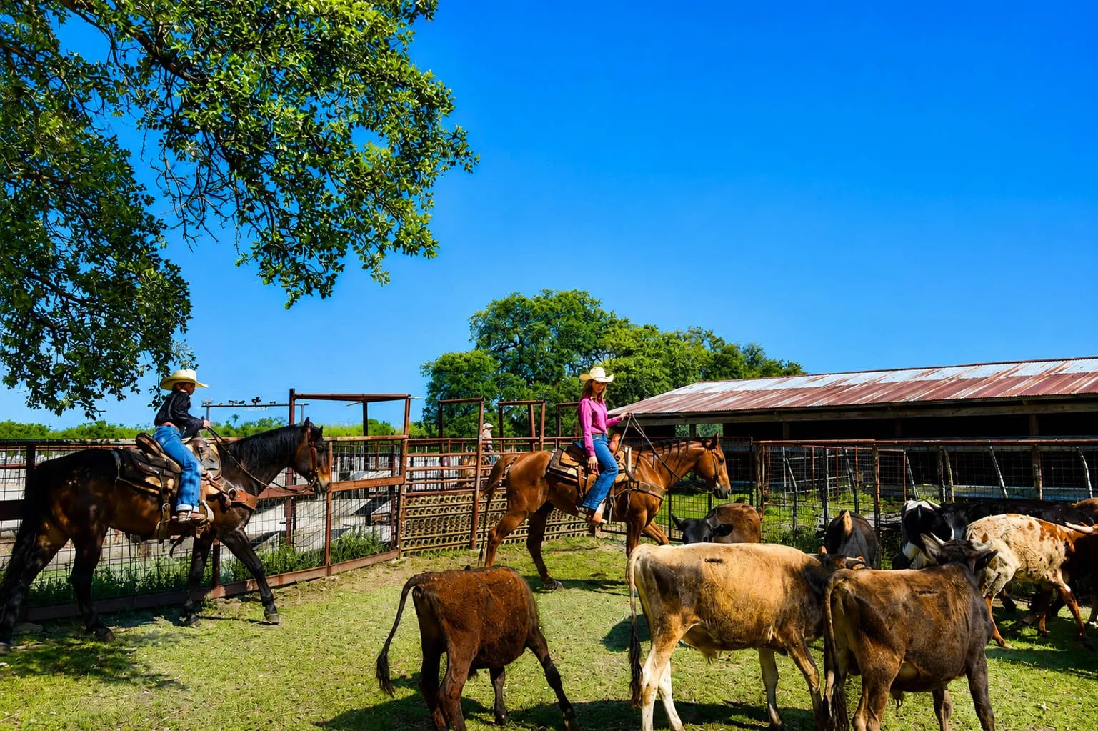 Ranch For Sale in Mc Culloch County , 8228 US HWY 377, Rochelle, Texas 76872, 0, 0, Garage spaces, 0 Sqft, built in 2022, mls#21369443, Real Estate Agent in Rochelle, Homes For Sale in Mc Culloch county, Homes For Sale in Rochelle, Realtor in Rochelle Texas, Real Estate Brokerage Independent Realty Texas, Luminita Cordes Realtor