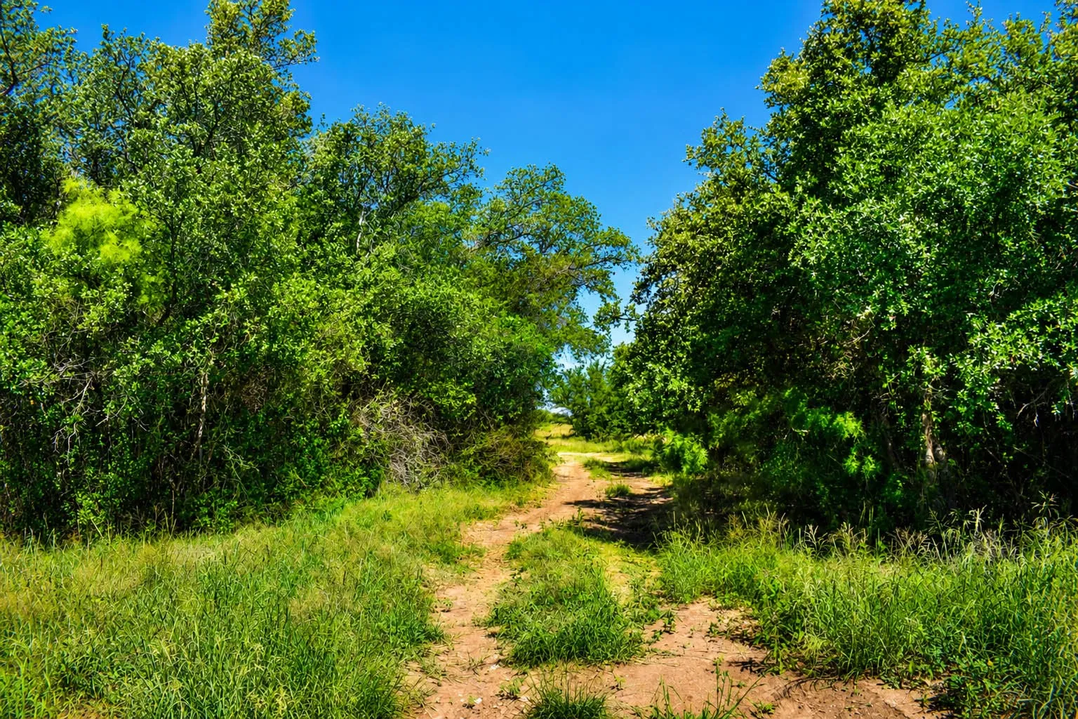 Ranch For Sale in Mc Culloch County , 8228 US HWY 377, Rochelle, Texas 76872, 0, 0, Garage spaces, 0 Sqft, built in 2022, mls#21369443, Real Estate Agent in Rochelle, Homes For Sale in Mc Culloch county, Homes For Sale in Rochelle, Realtor in Rochelle Texas, Real Estate Brokerage Independent Realty Texas, Luminita Cordes Realtor