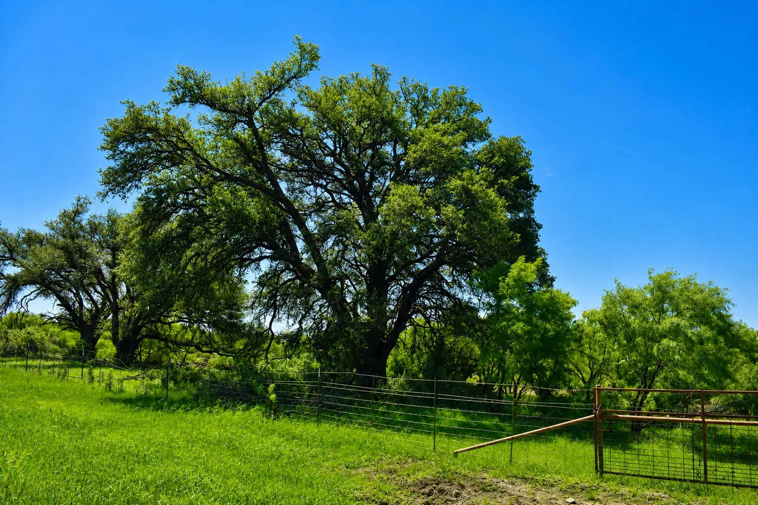 Ranch For Sale in Mc Culloch County , 8228 US HWY 377, Rochelle, Texas 76872, 0, 0, Garage spaces, 0 Sqft, built in 2022, mls#21369443, Real Estate Agent in Rochelle, Homes For Sale in Mc Culloch county, Homes For Sale in Rochelle, Realtor in Rochelle Texas, Real Estate Brokerage Independent Realty Texas, Luminita Cordes Realtor
