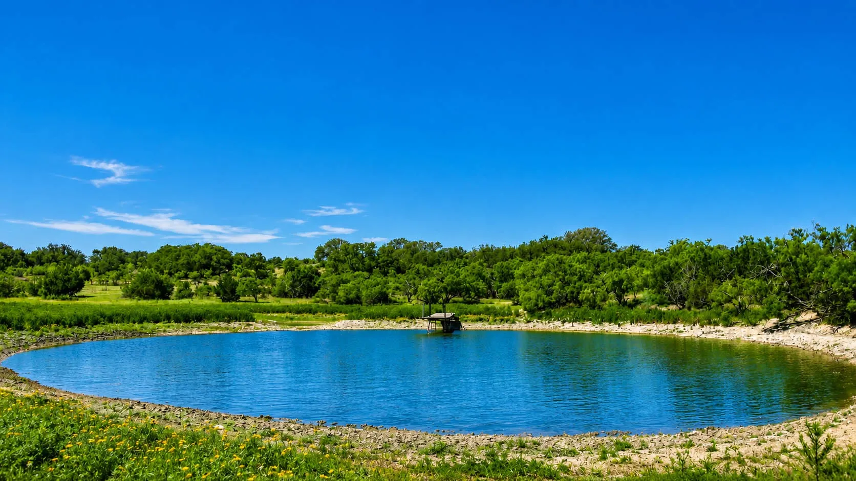 Ranch For Sale in Mc Culloch County , 8228 US HWY 377, Rochelle, Texas 76872, 0, 0, Garage spaces, 0 Sqft, built in 2022, mls#21369443, Real Estate Agent in Rochelle, Homes For Sale in Mc Culloch county, Homes For Sale in Rochelle, Realtor in Rochelle Texas, Real Estate Brokerage Independent Realty Texas, Luminita Cordes Realtor