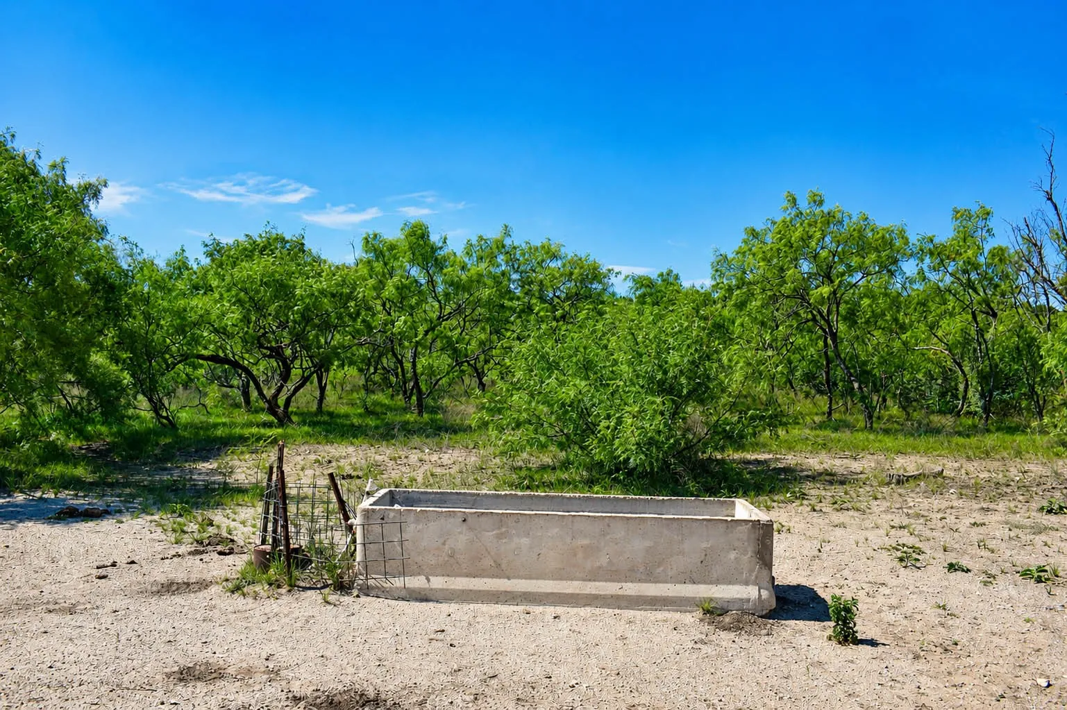 Ranch For Sale in Mc Culloch County , 8228 US HWY 377, Rochelle, Texas 76872, 0, 0, Garage spaces, 0 Sqft, built in 2022, mls#21369443, Real Estate Agent in Rochelle, Homes For Sale in Mc Culloch county, Homes For Sale in Rochelle, Realtor in Rochelle Texas, Real Estate Brokerage Independent Realty Texas, Luminita Cordes Realtor