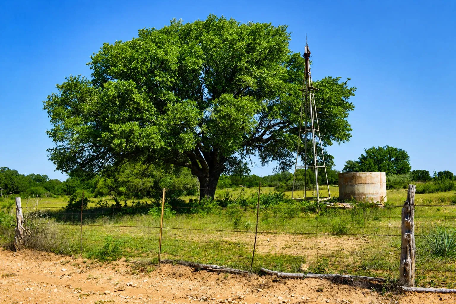 Ranch For Sale in Mc Culloch County , 8228 US HWY 377, Rochelle, Texas 76872, 0, 0, Garage spaces, 0 Sqft, built in 2022, mls#21369443, Real Estate Agent in Rochelle, Homes For Sale in Mc Culloch county, Homes For Sale in Rochelle, Realtor in Rochelle Texas, Real Estate Brokerage Independent Realty Texas, Luminita Cordes Realtor